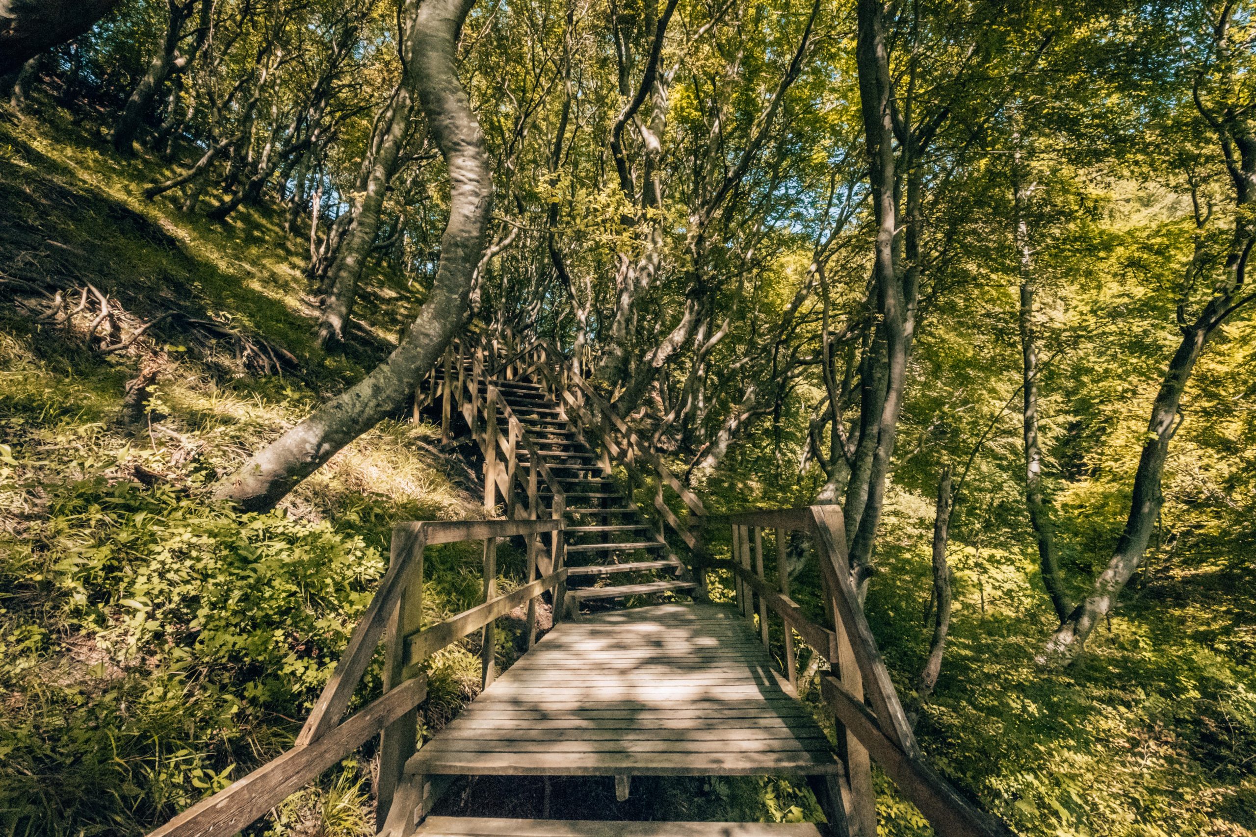 Stairs down mons klint