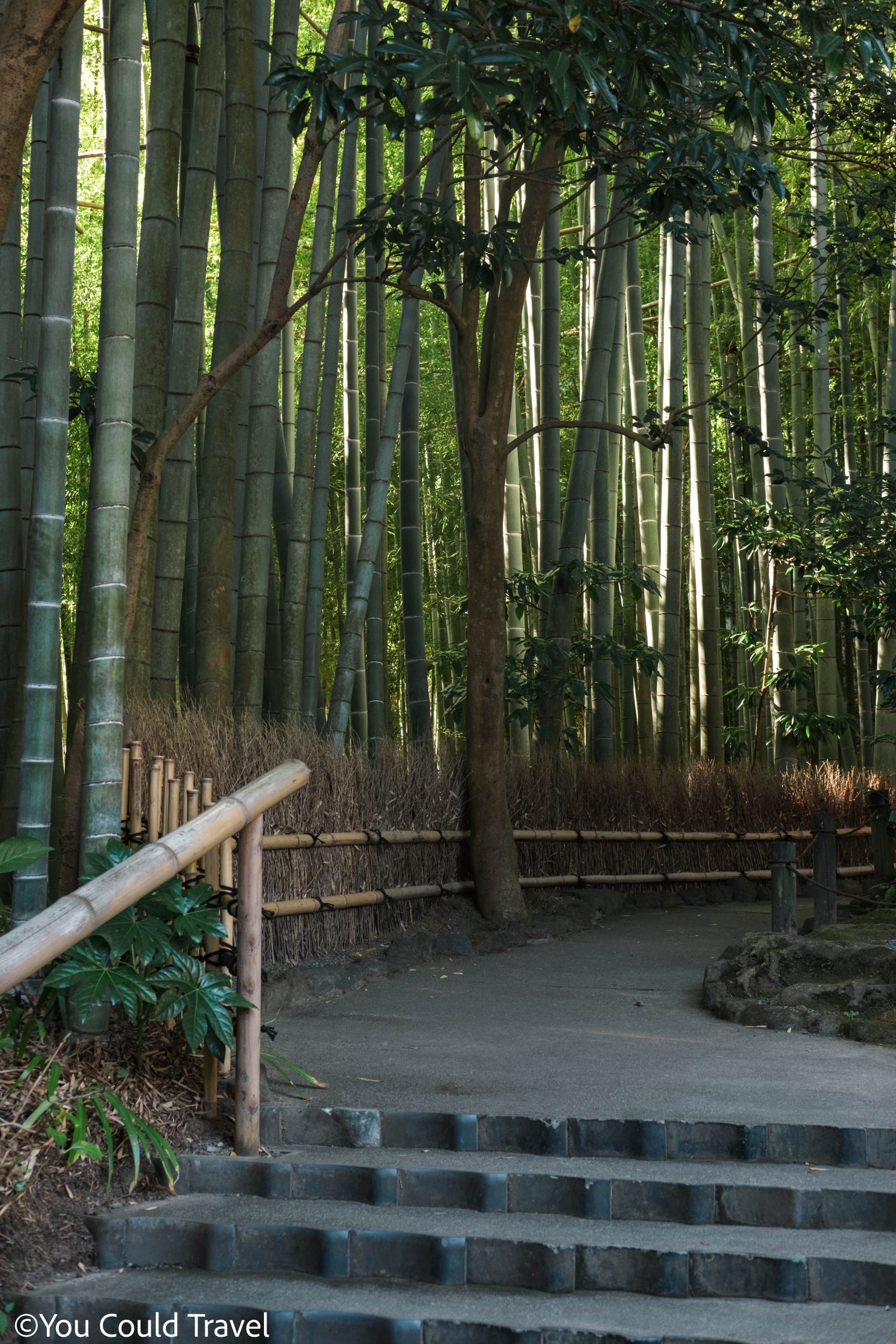 Stairs leading to the bamboo path at Hokokuji temple