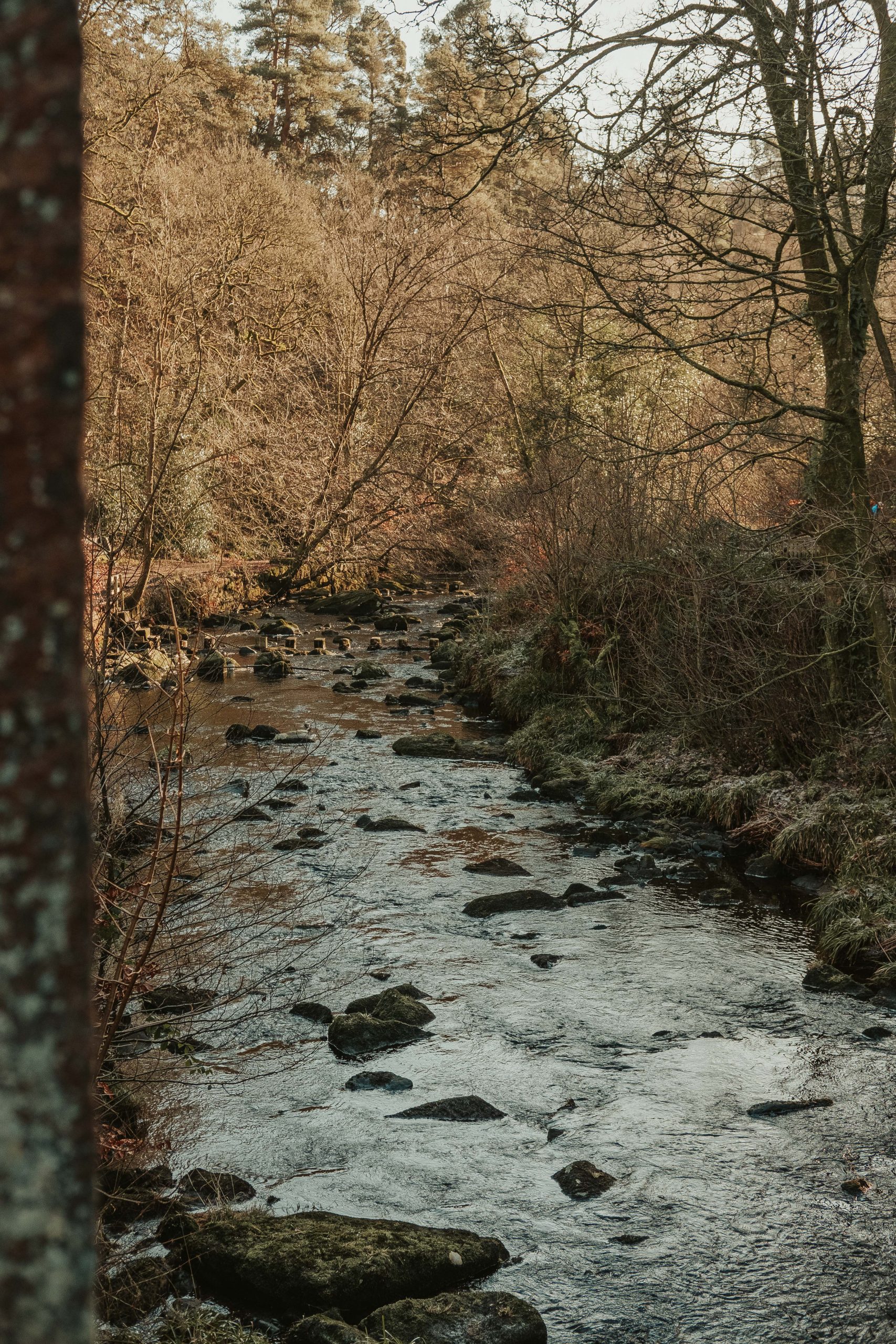 Little stream near hiking trail in Hebden Bridge