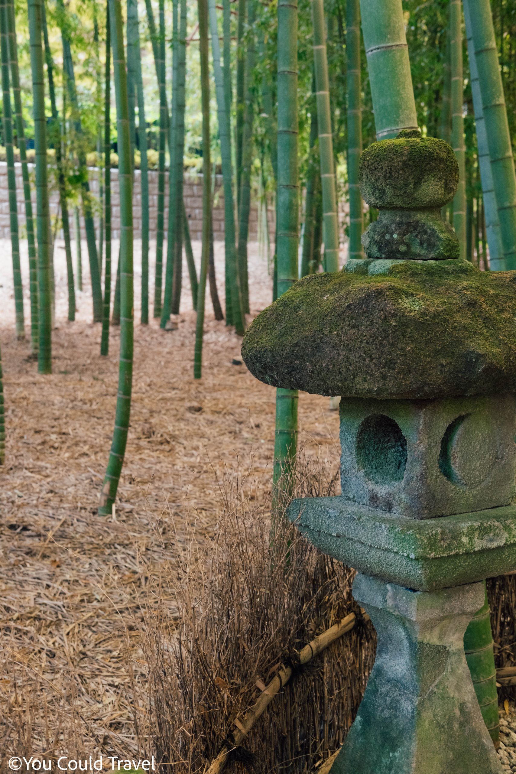 Hokokuji Temple in Kamakura - stunning bamboo forest