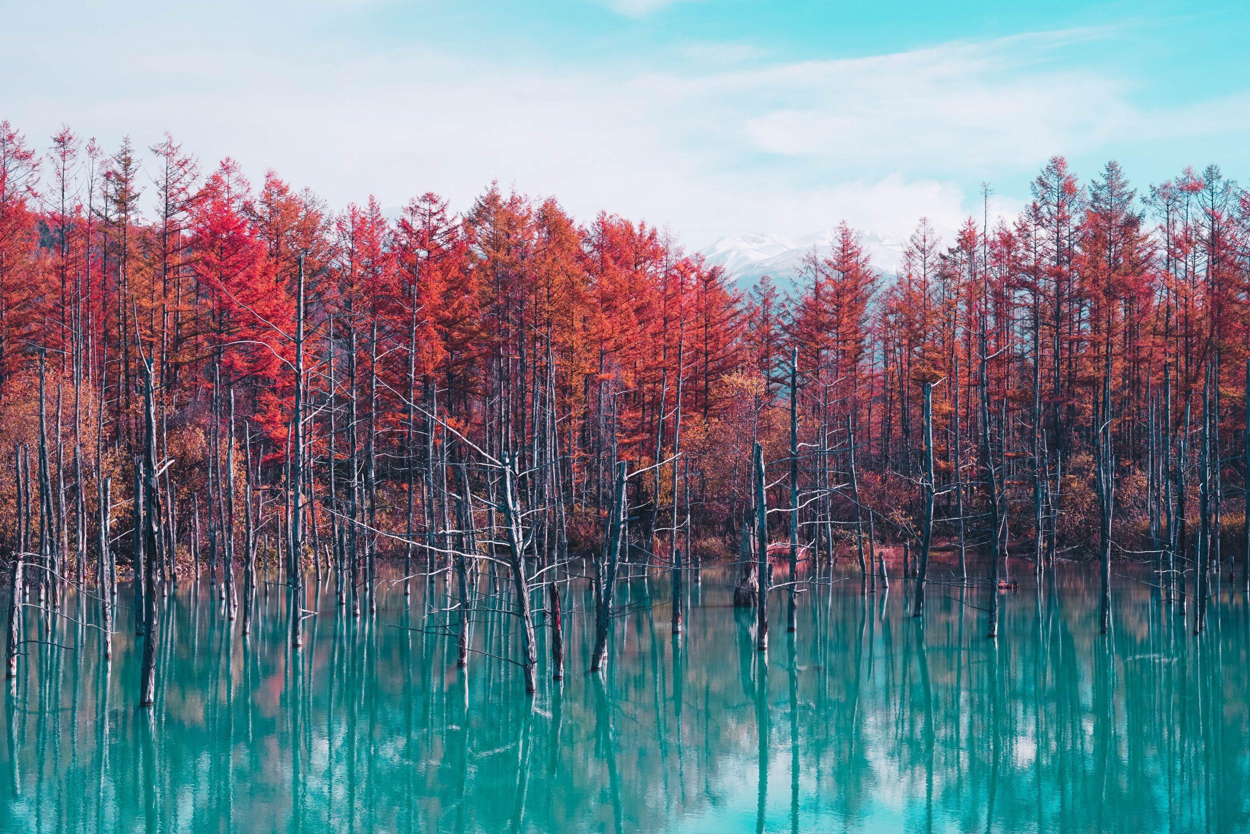 Stunning blue pond in Hokkaido during autumn