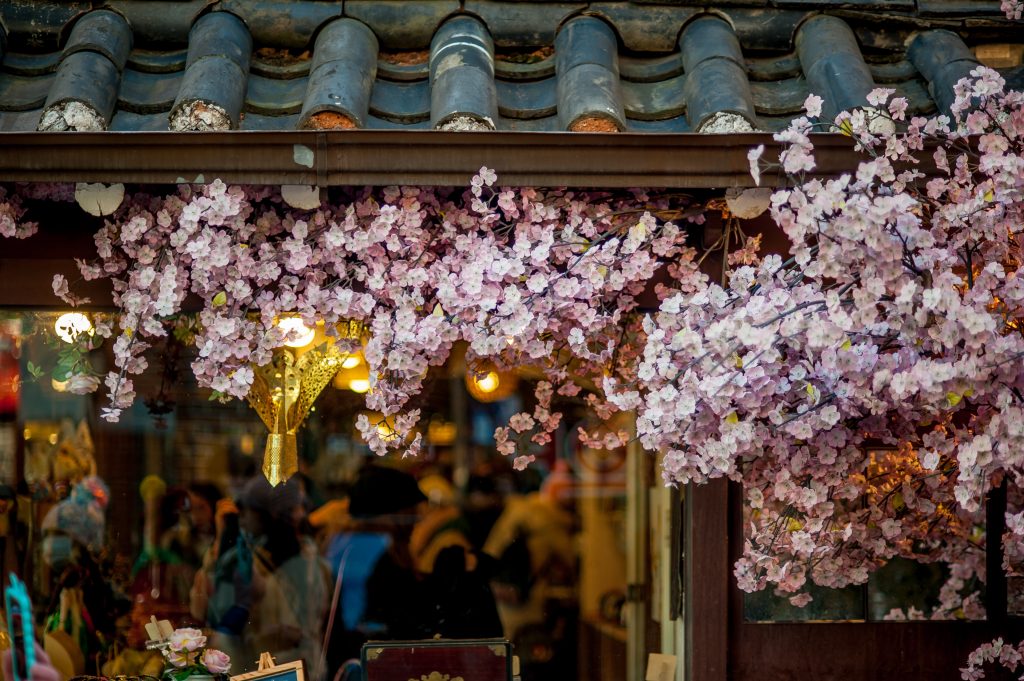 Suave Hanami Japan 2017