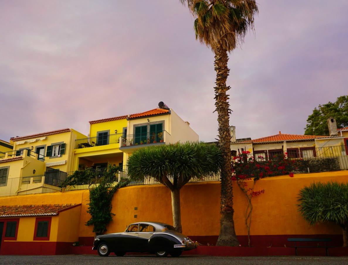 An old school car under a beautiful palm tree, in a neighbourhood in Funchal during sunset