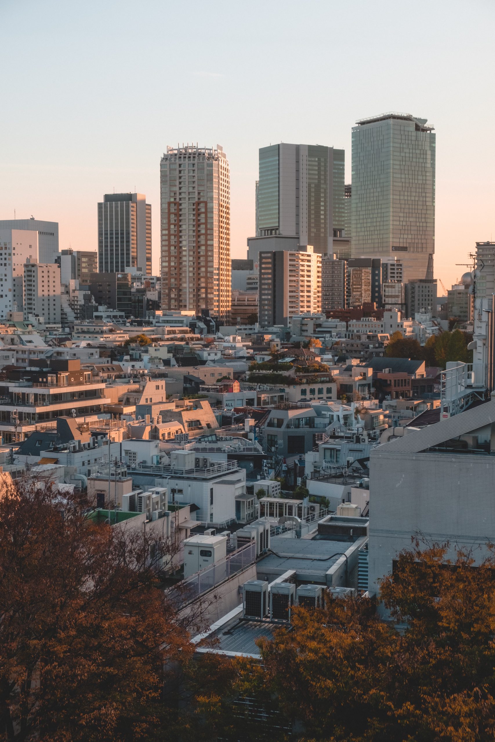 Sunset views from Omohara Forest in Tokyu Plaza Omotesando