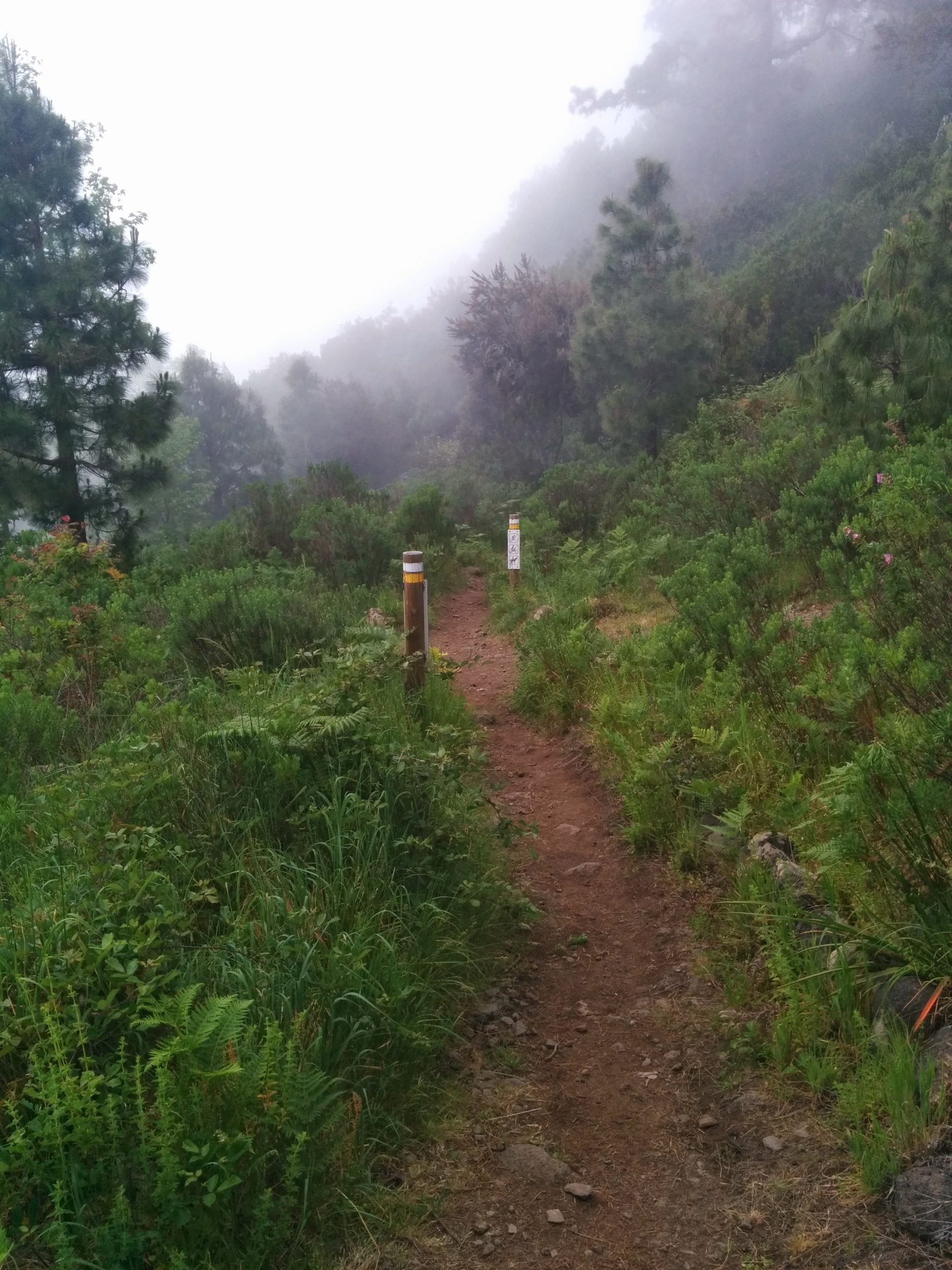 Trail Path Tenerife Trail Path Tenerife