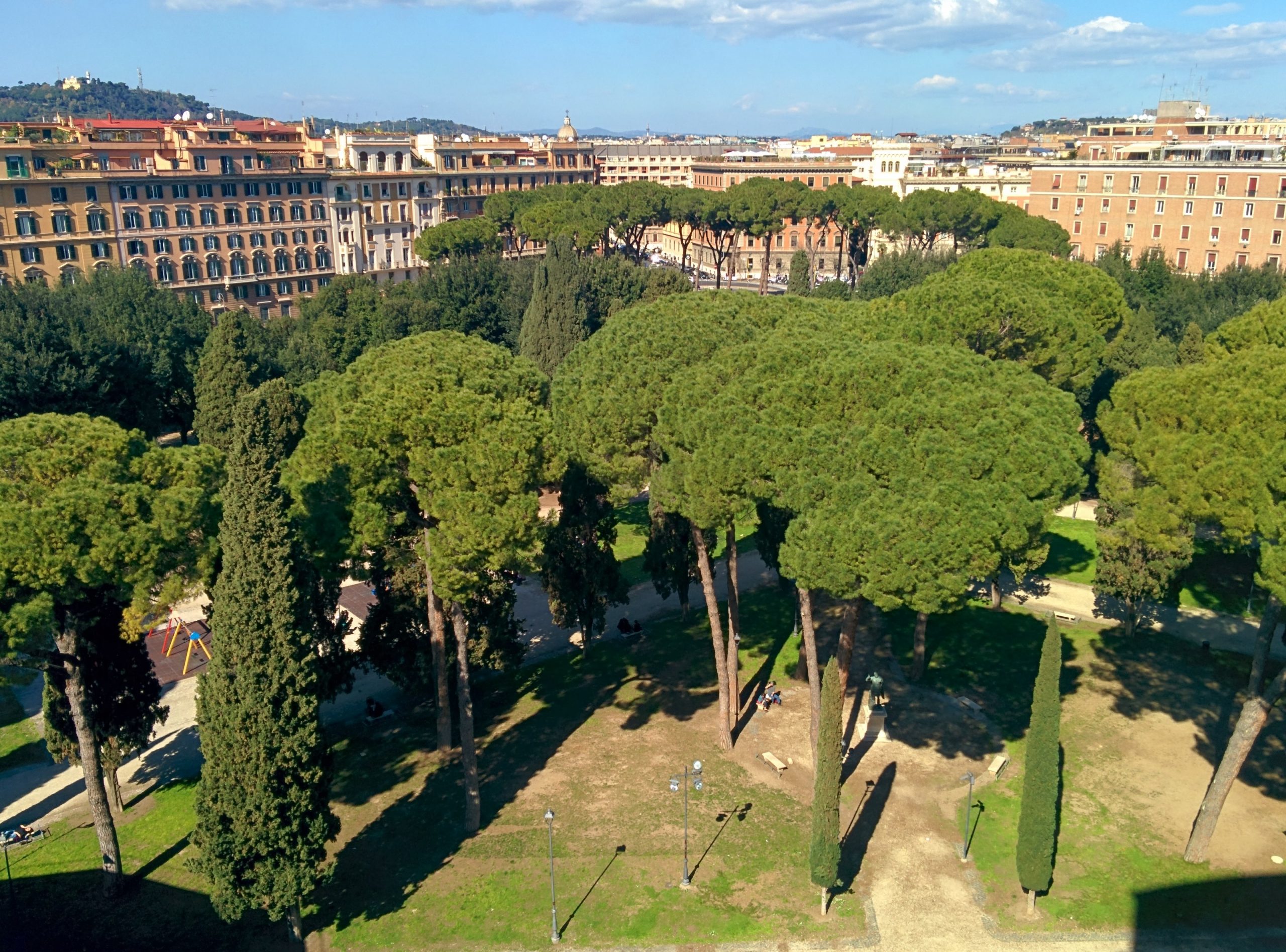 Trees Rome Trees Rome