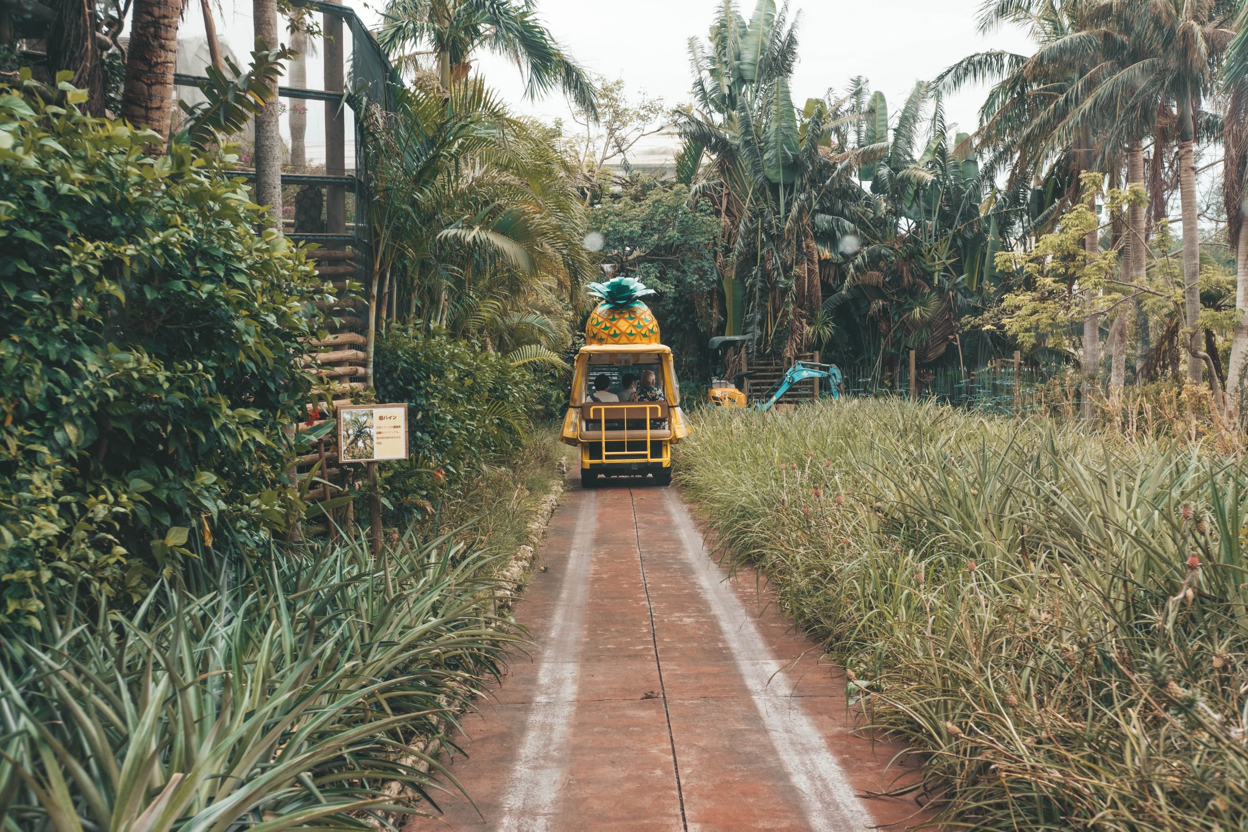 Take the self driving cart than walk Self driving cart shaped like a pineapple which is part of the Nago Pineapple experience