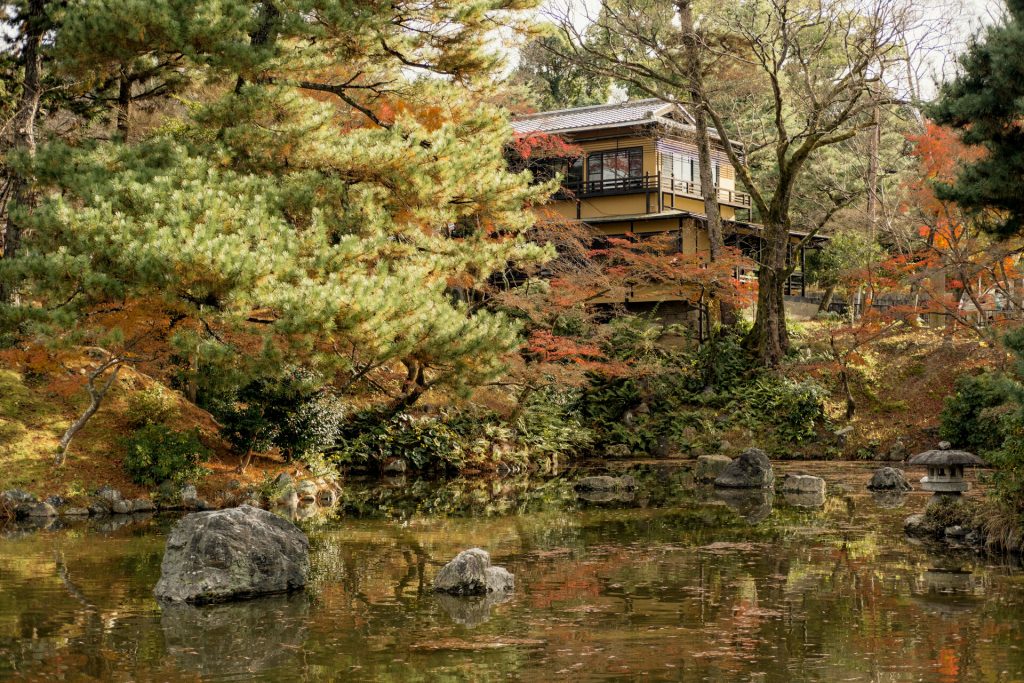 tea house and pond in Maruyama Park