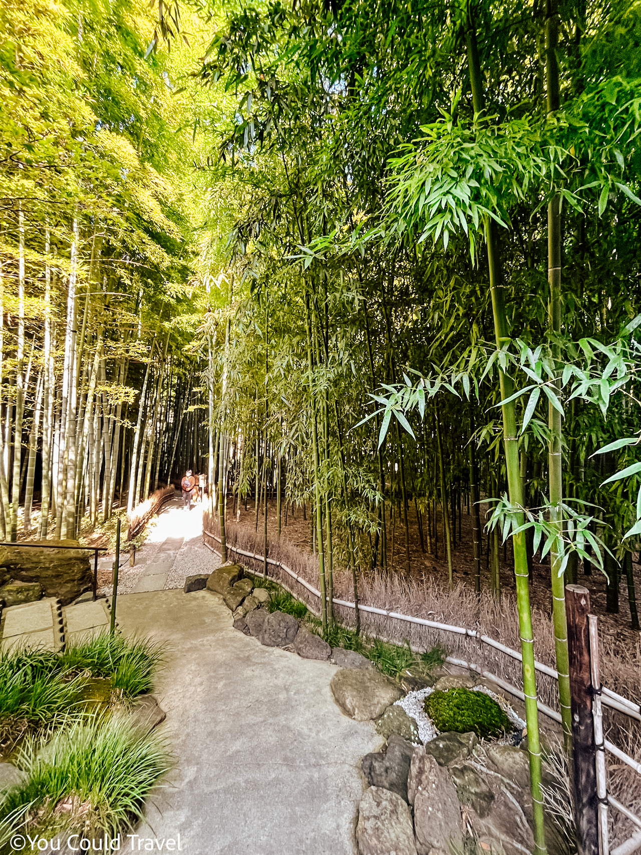 The bamboo forest at Hokokuji Temple