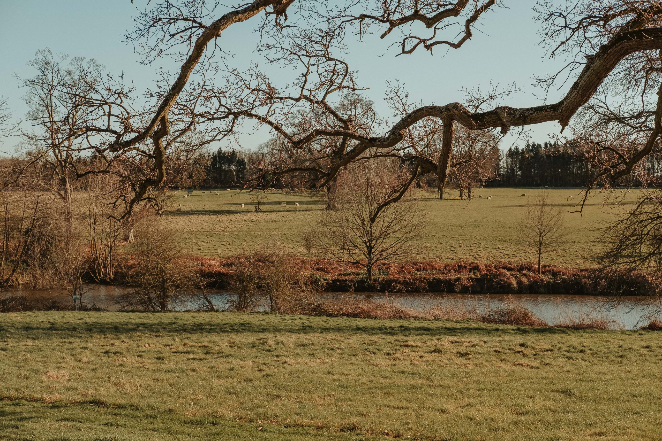 The beautiful estate for a cooking class in essex