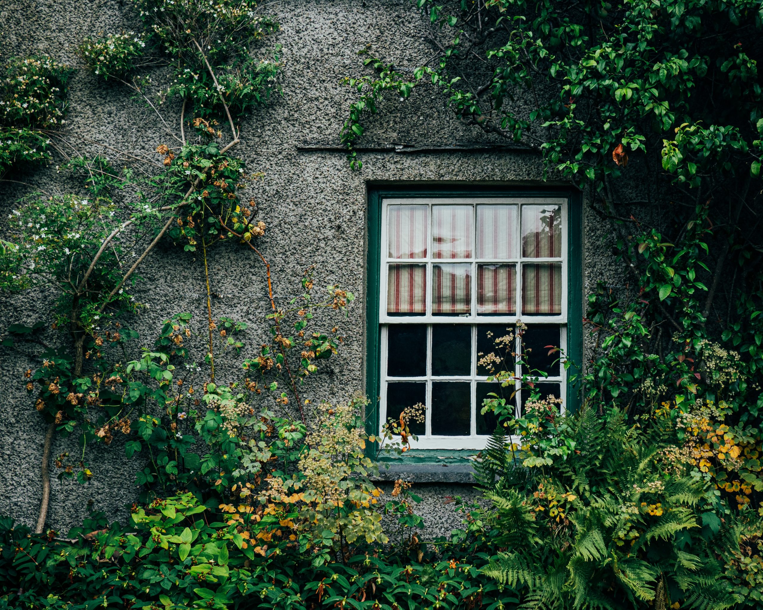 The beautiful garden at Neatrix Potter windermere