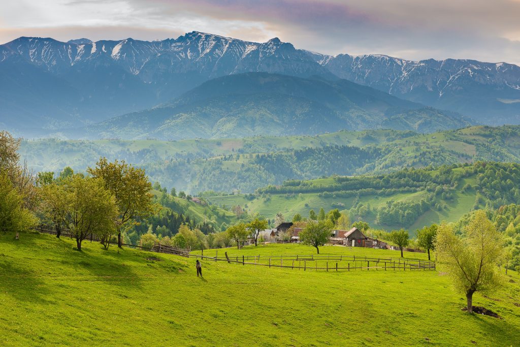 Romania Travel Guide - beautiful green fields with the mountain backdrop