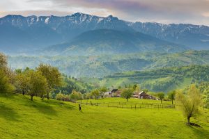 Romania Travel Guide - beautiful green fields with the mountain backdrop