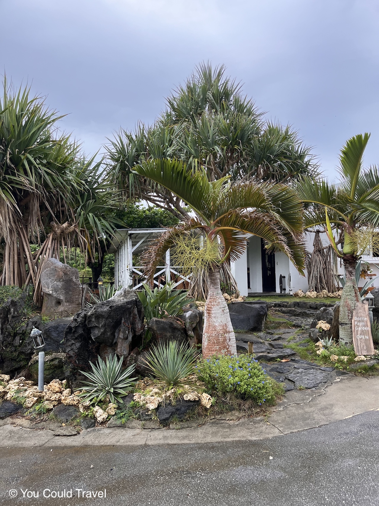 The entrance to the bottle palm cafe