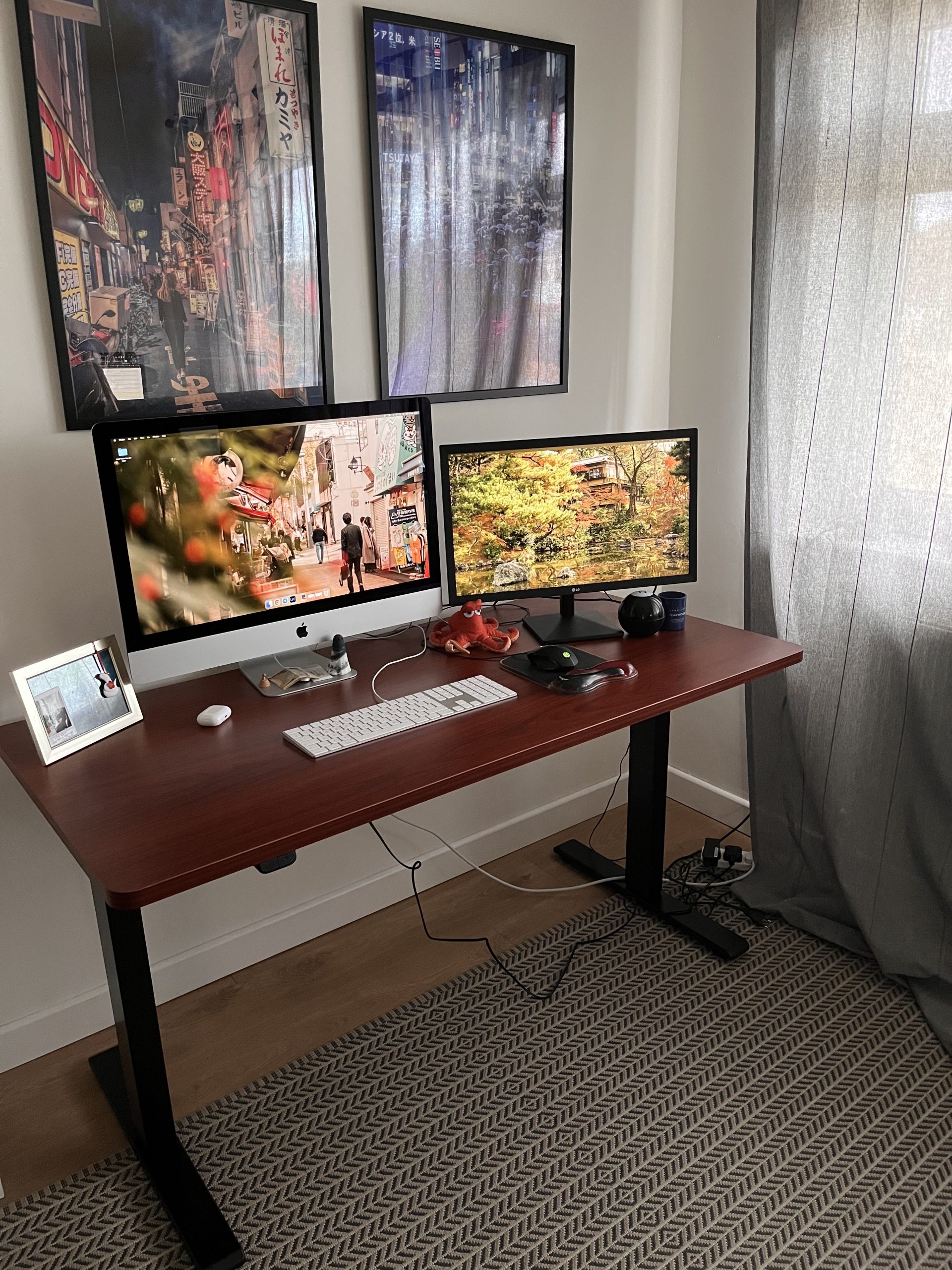 The Flexispot workstation on Cory's side
