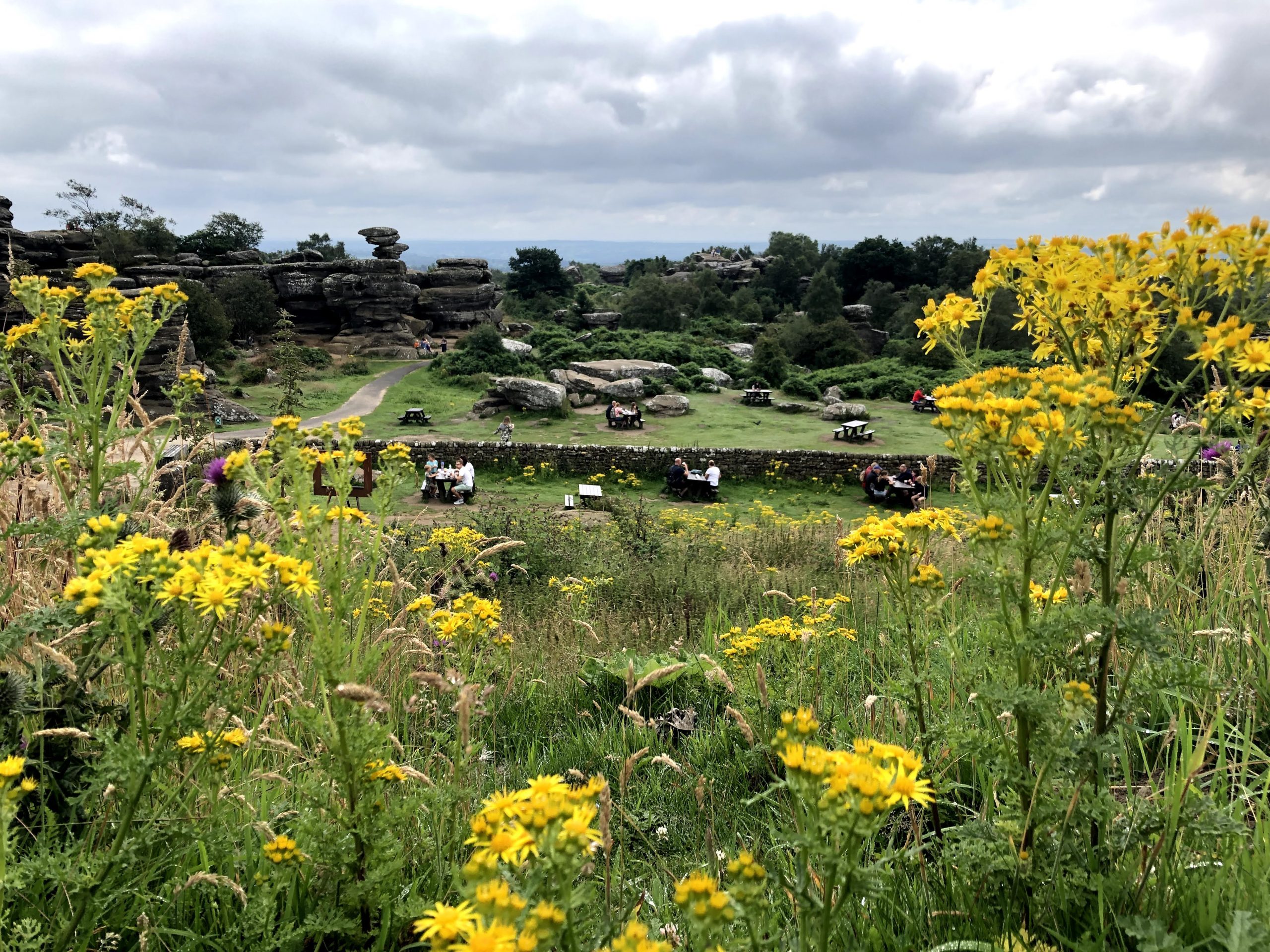 Food area at Brimham rocks