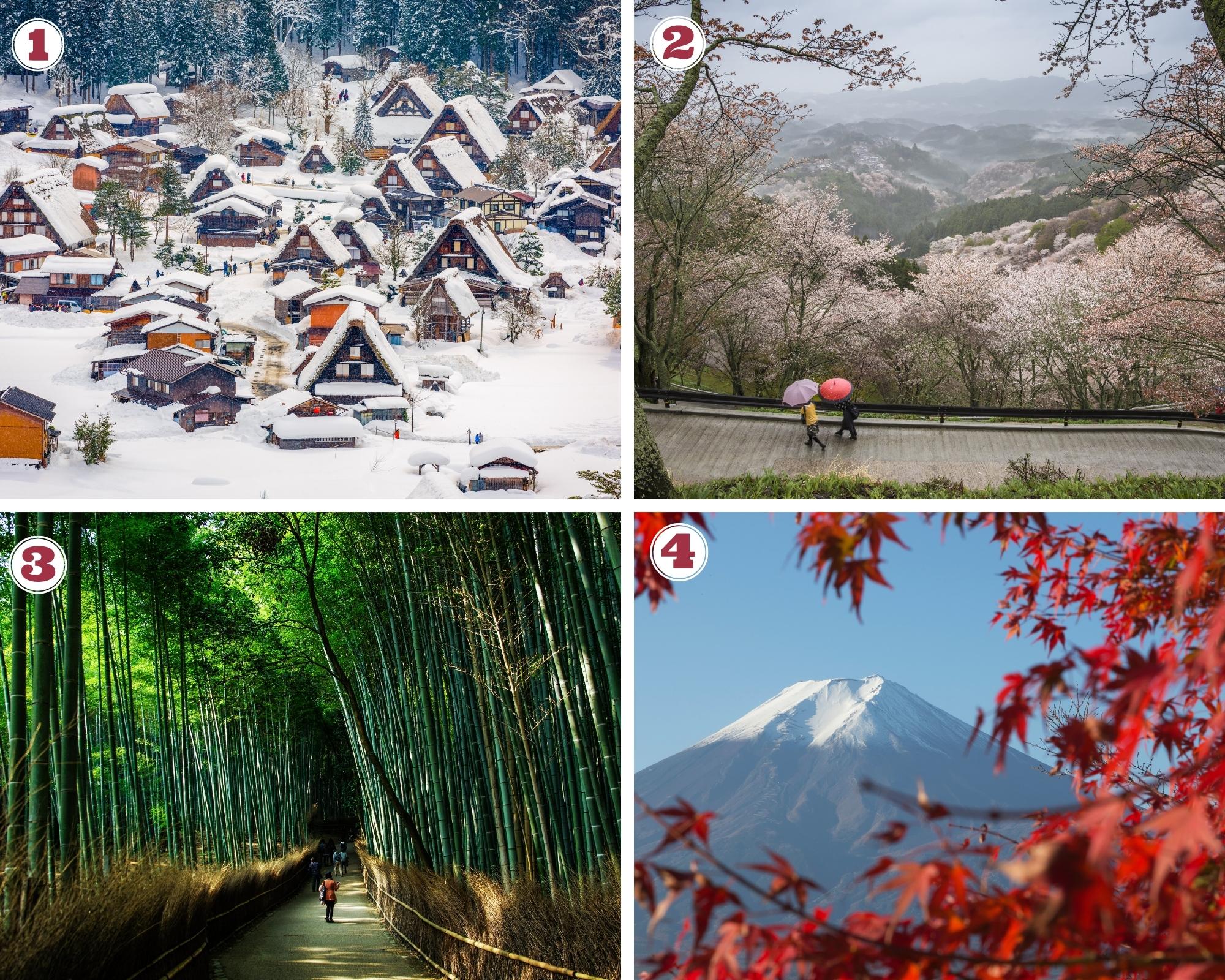 The four seasons in Japan