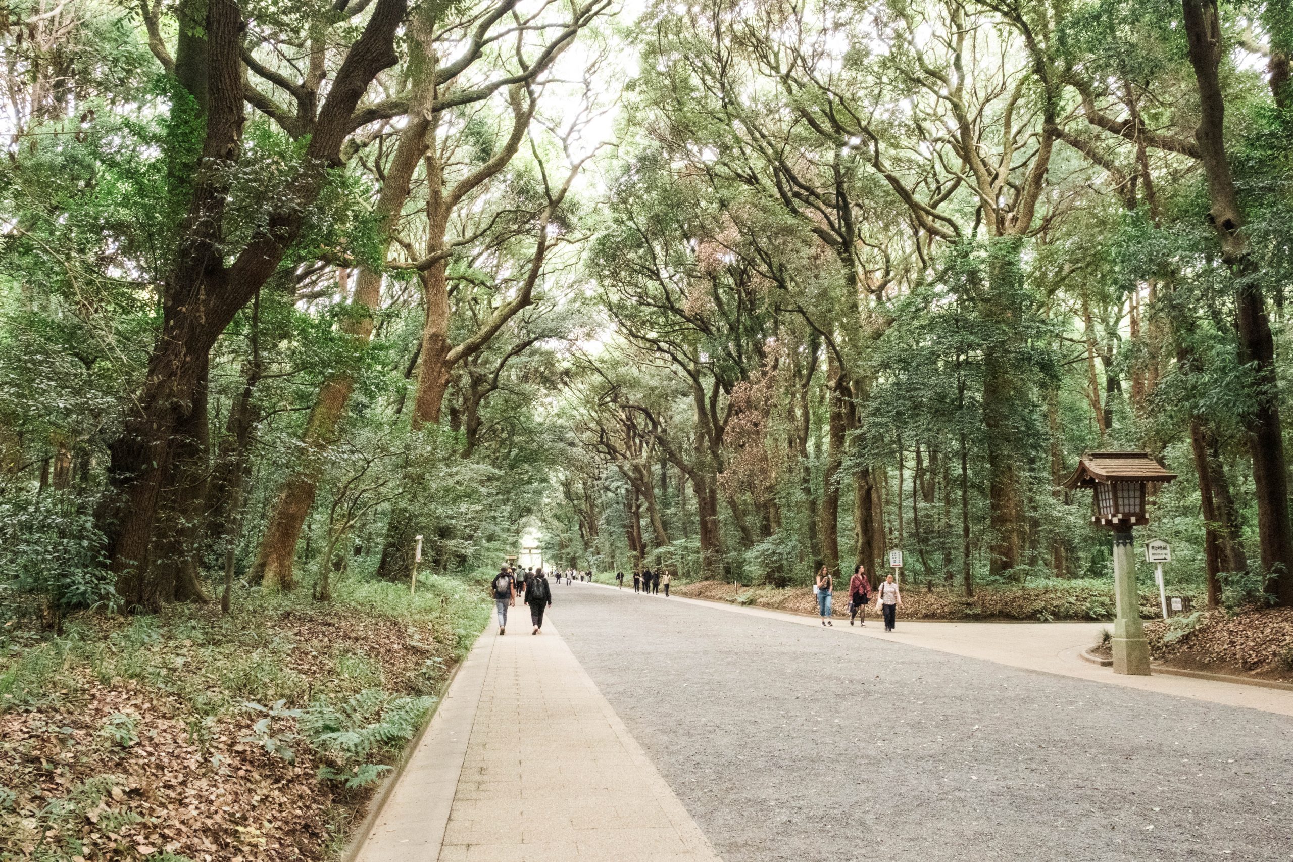 The gravel path at Meiji Jingu The gravel path at Meiji Jingu
