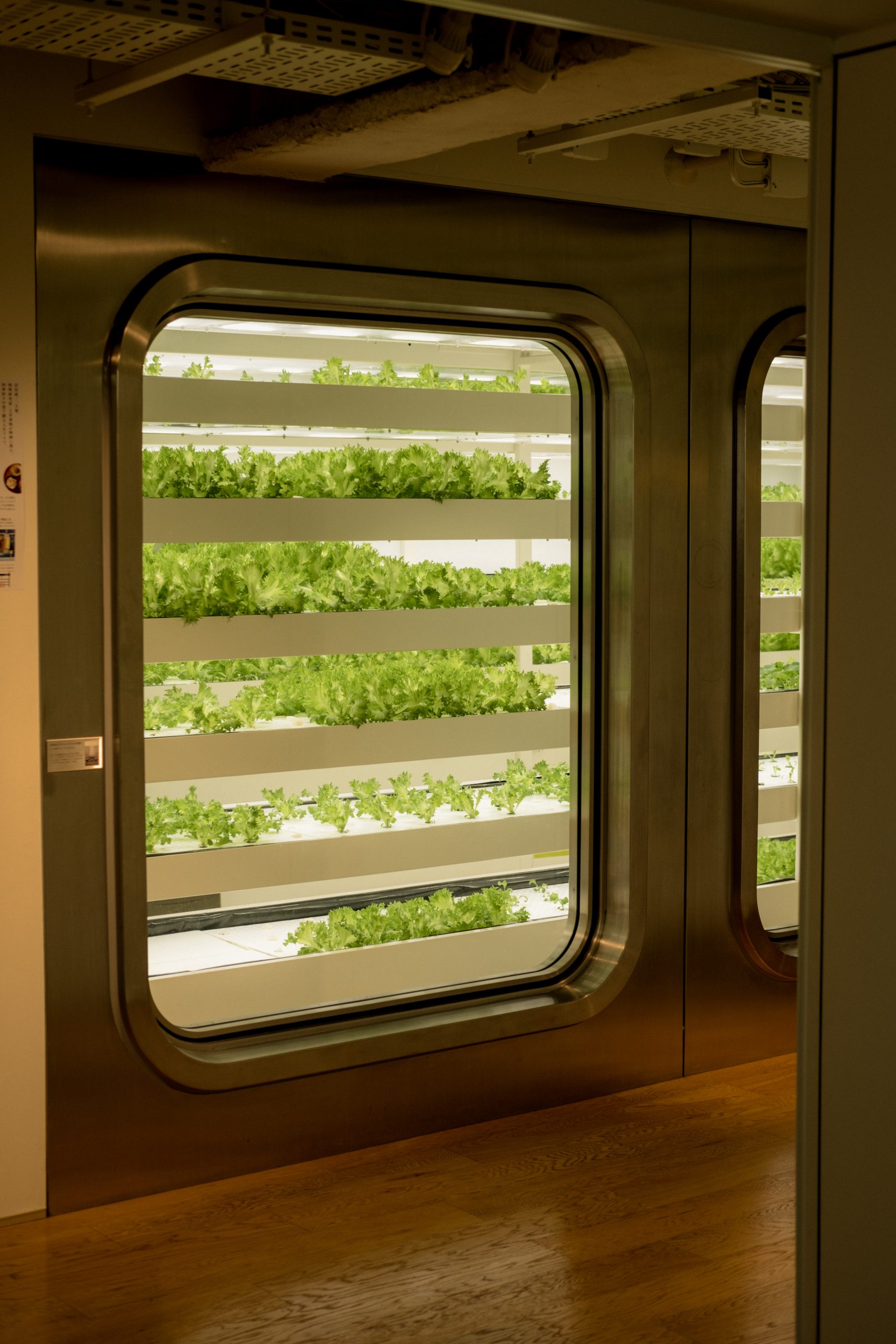 The green garden at the top of Itoya store