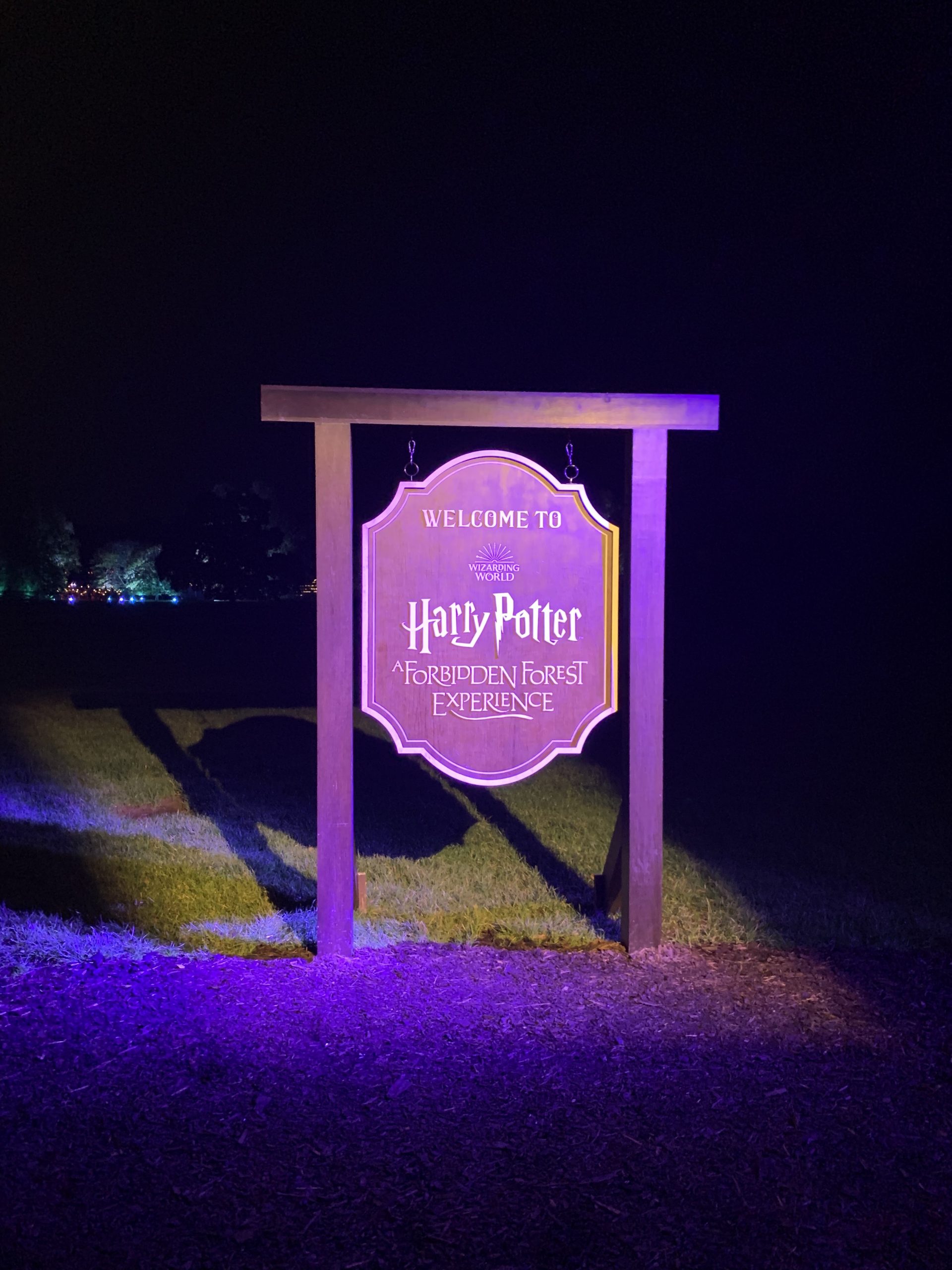 The Harry Potter Forbidden Forest experience