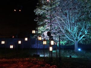 The illuminations at the Harry Potter Forbidden Forest experience