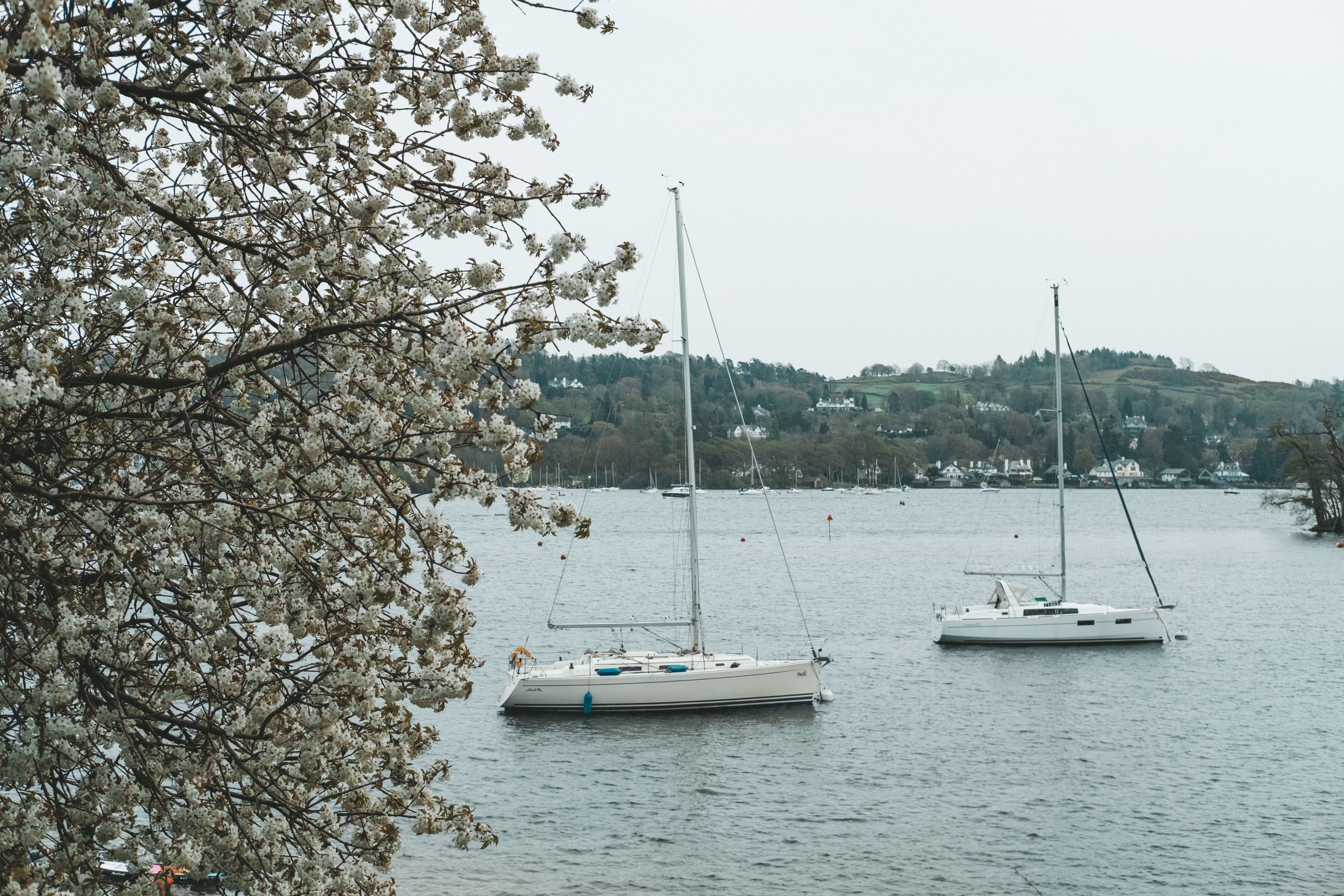 The lake district Lake Windermere with two sailboats on it