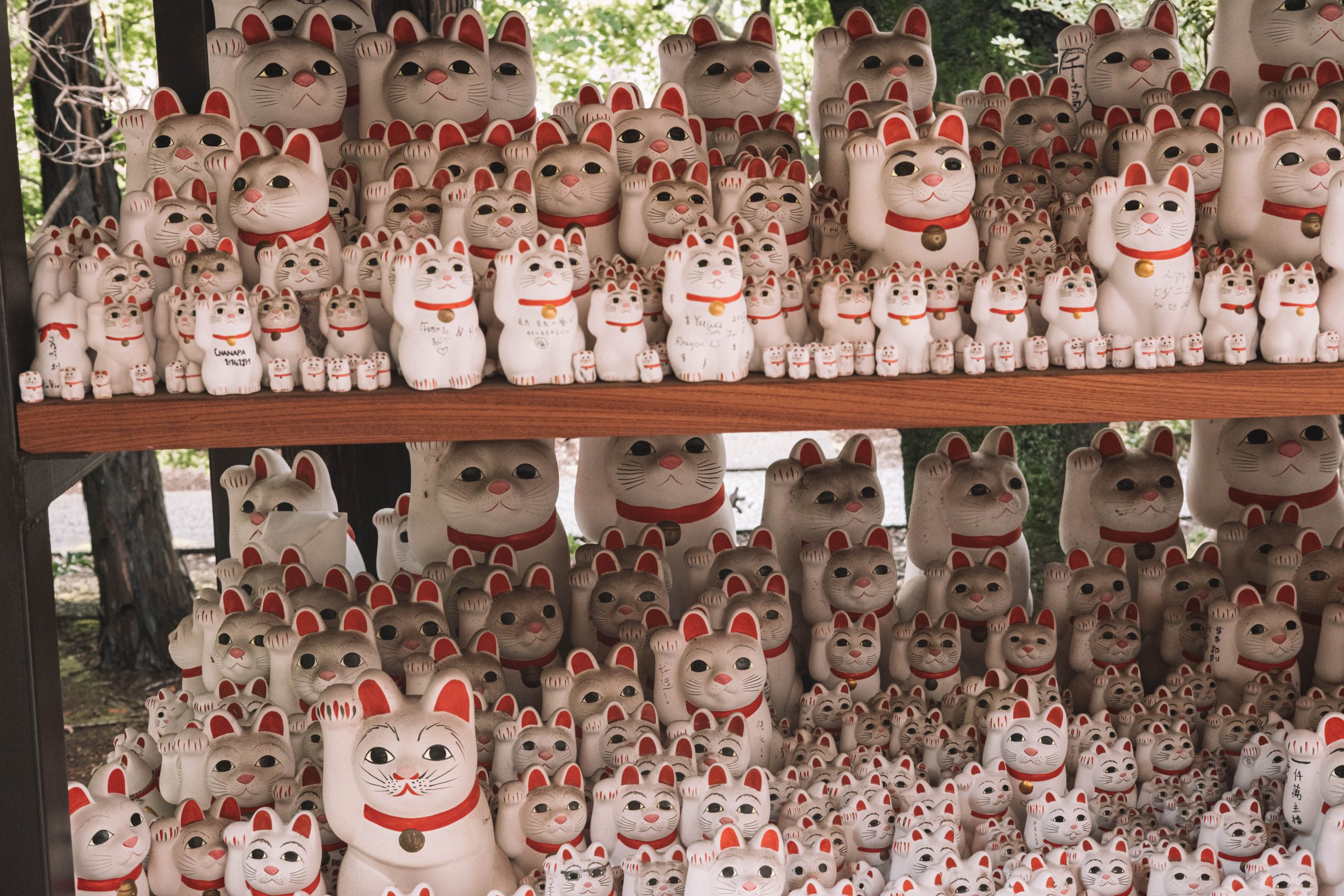 The many cats of Gotokuji temple