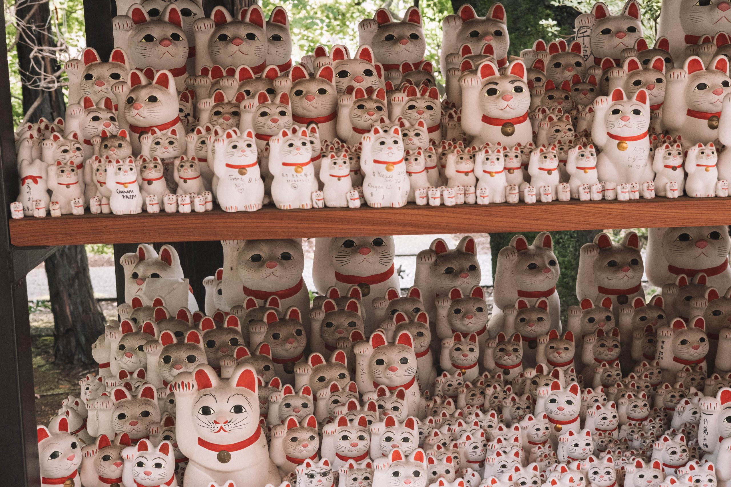 The many cats of Gotokuji temple The many cats of Gotokuji temple