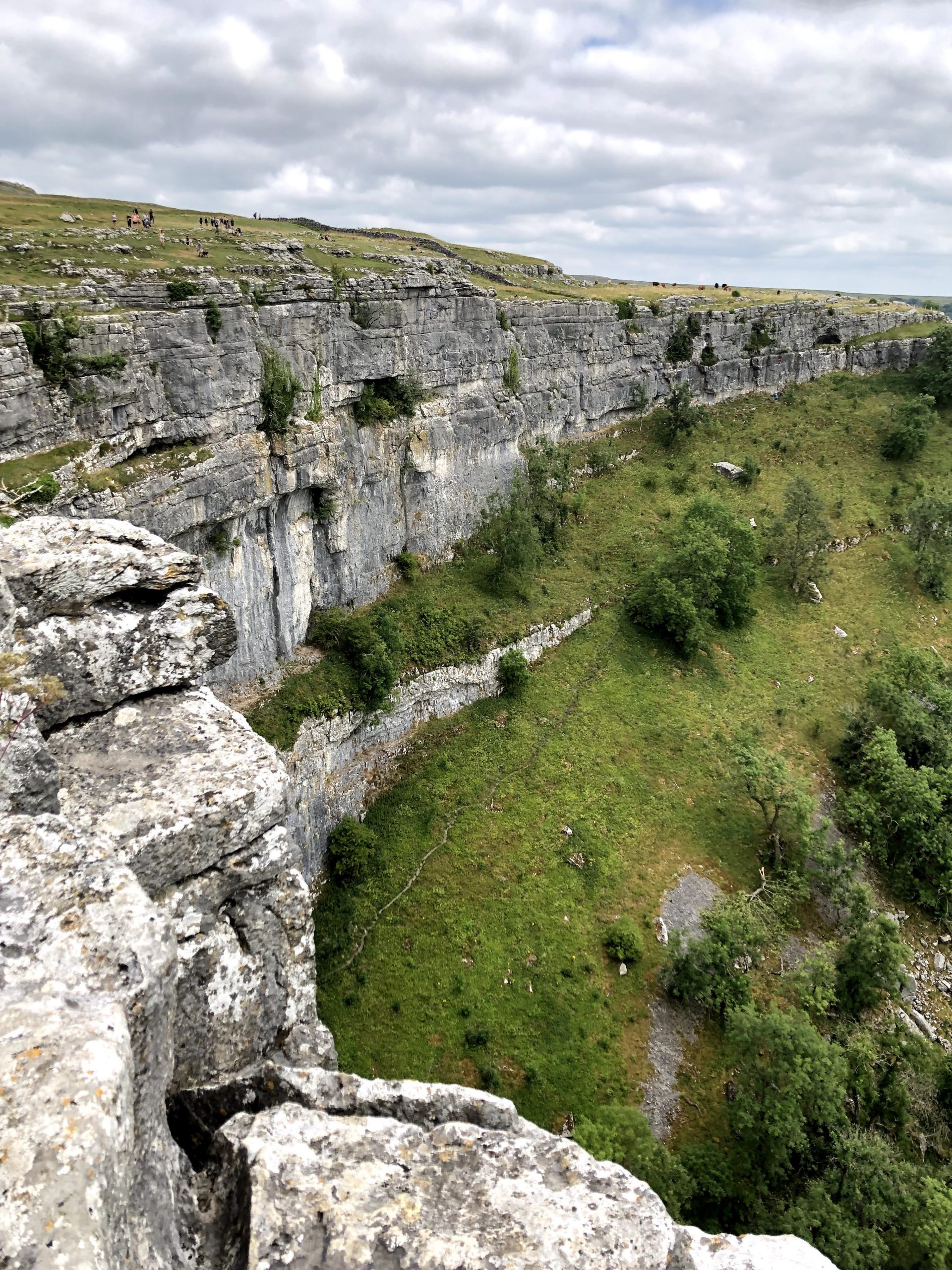 The rocky limestone face of the Malham cove