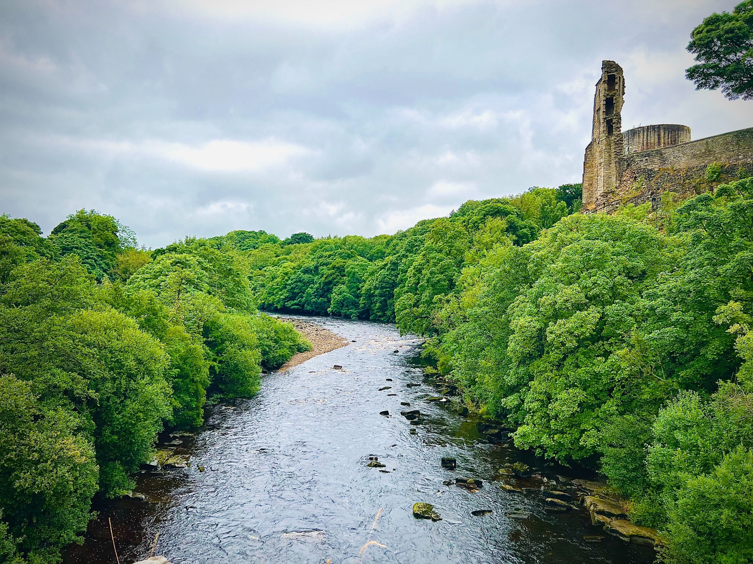 The ruin of Barnard castle from the riverside