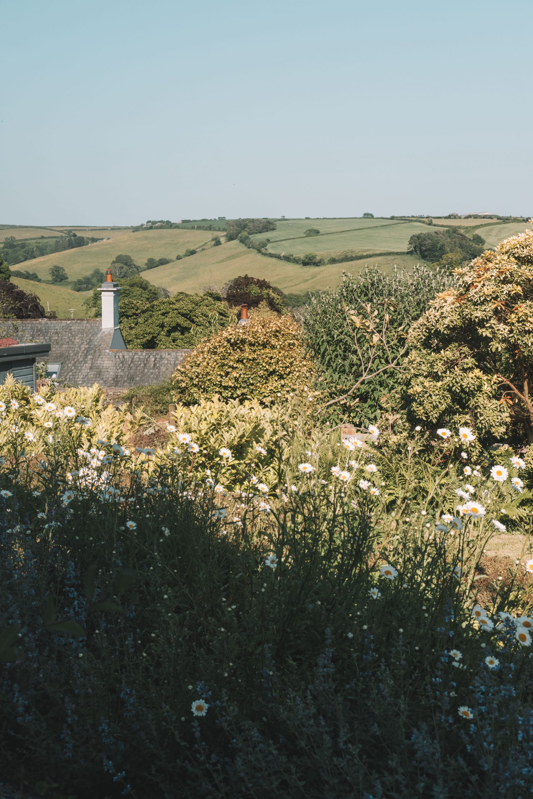 The surrounding countryside at Bowden Wood in our Devon accommodation