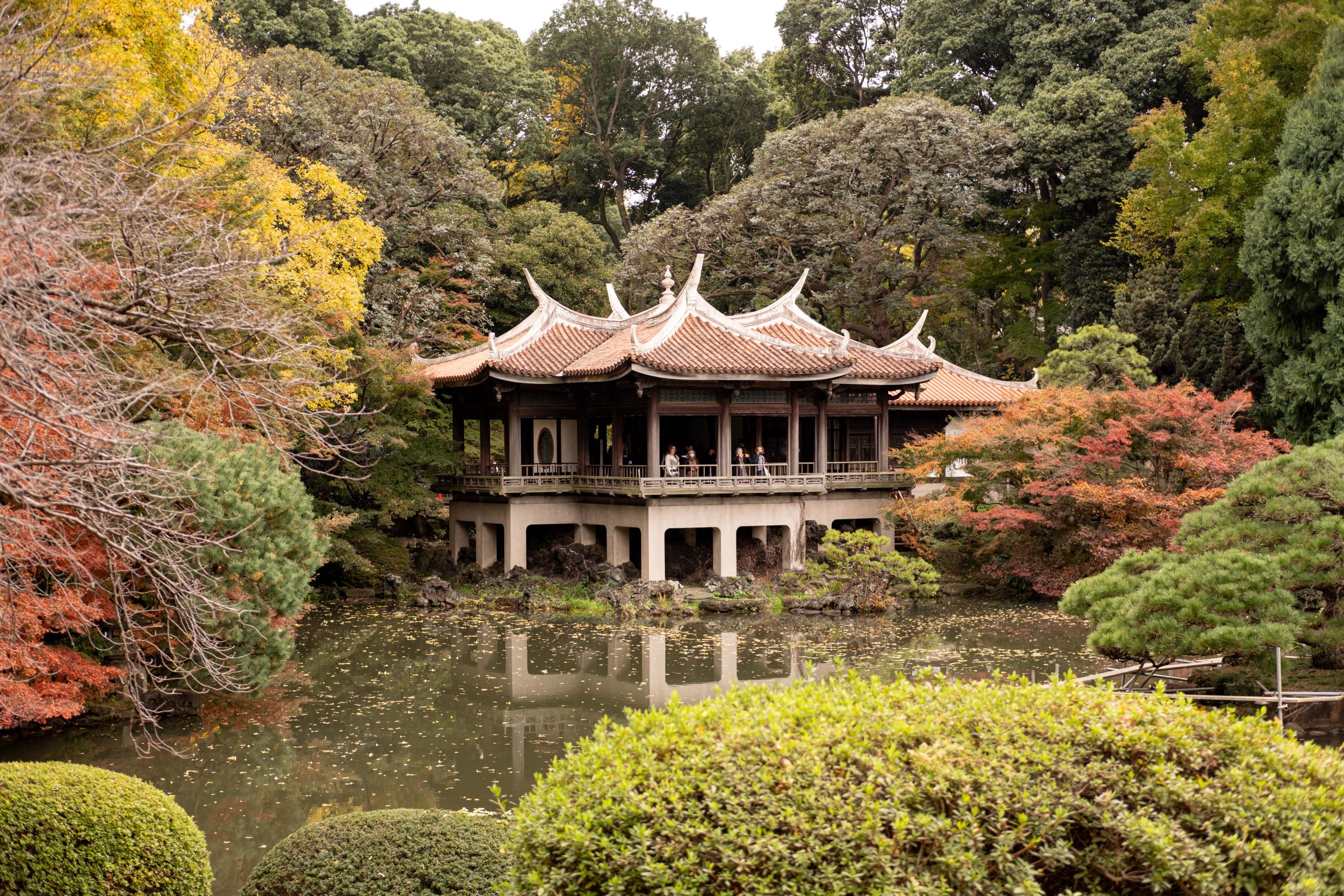 The Taiwan pavilion in the Shinjuku national garden Shinjuku Gyoen