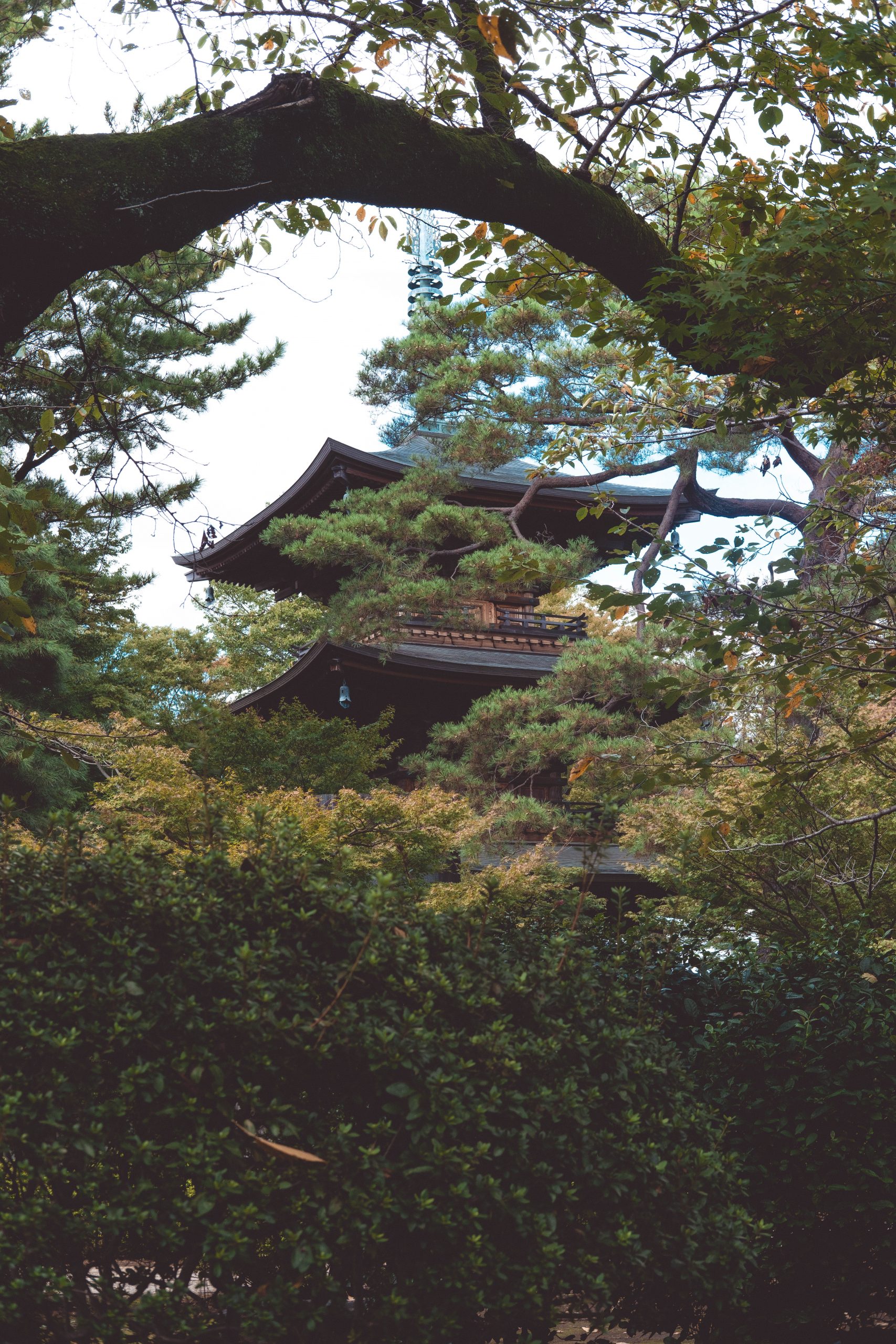 The three story pagoda at Gotokuji temple Tokyo