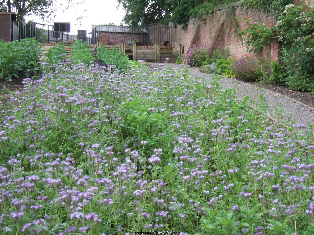 The workhouse and garden museum in Ripon