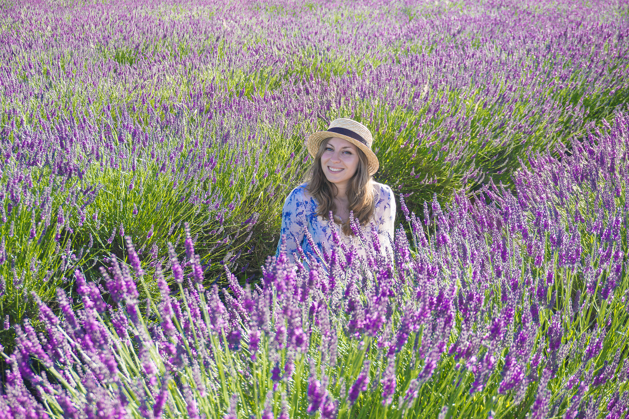 Things to do in London Cory Lavender fields 