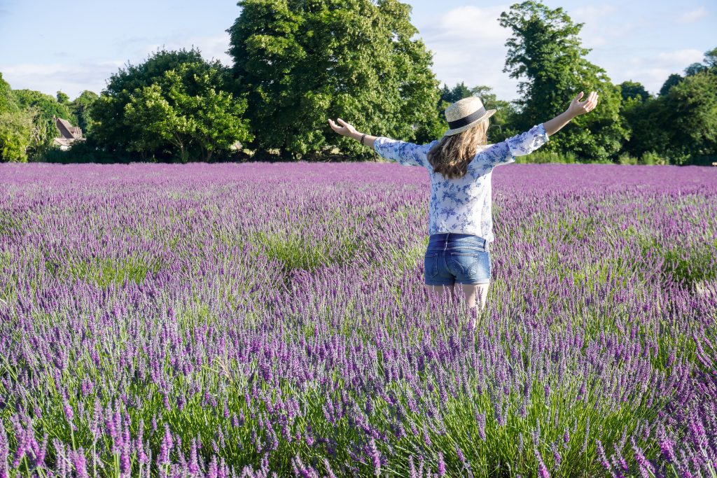 Things to do in London Lavender fields break free