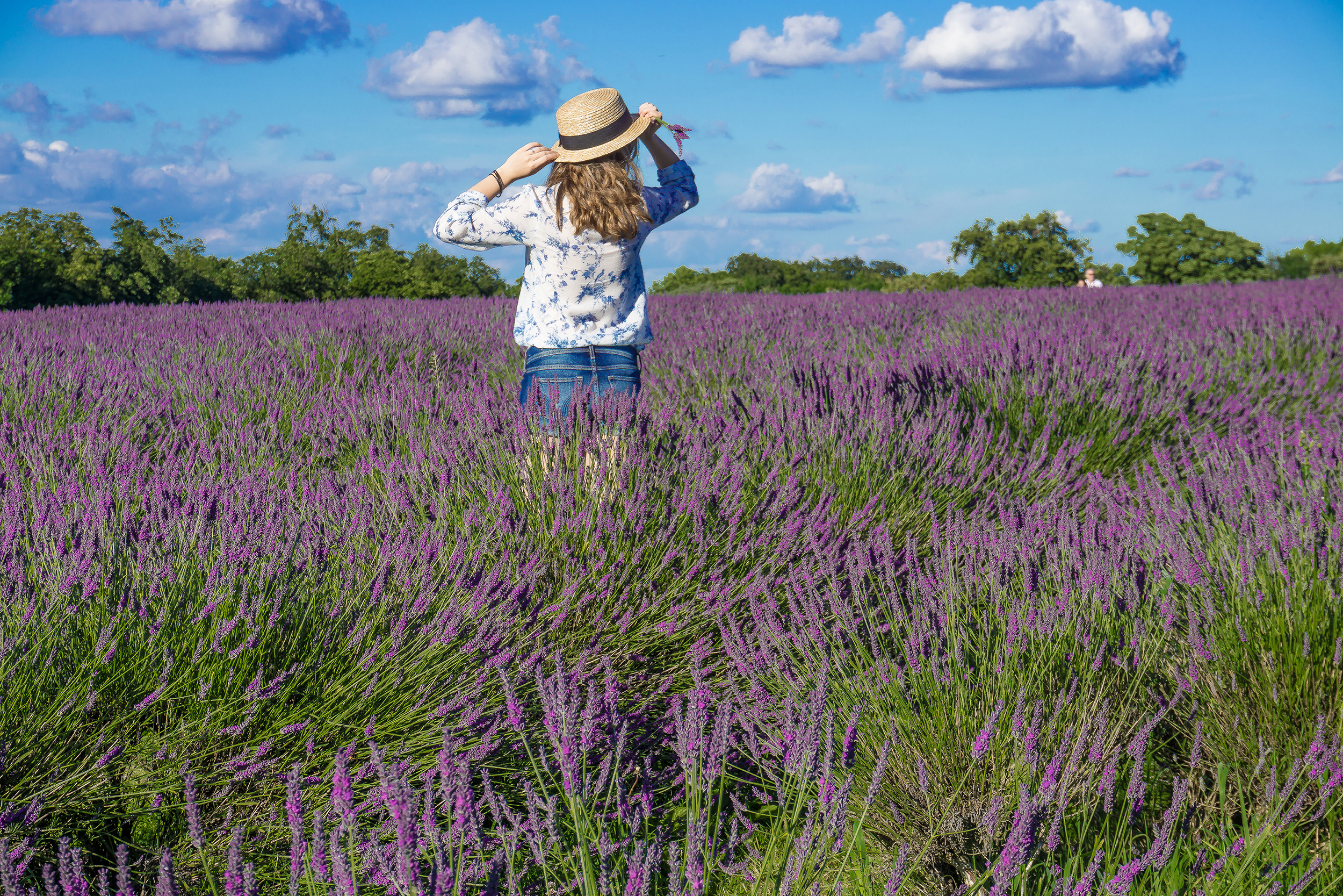 Things to do in London Lavender fields walk