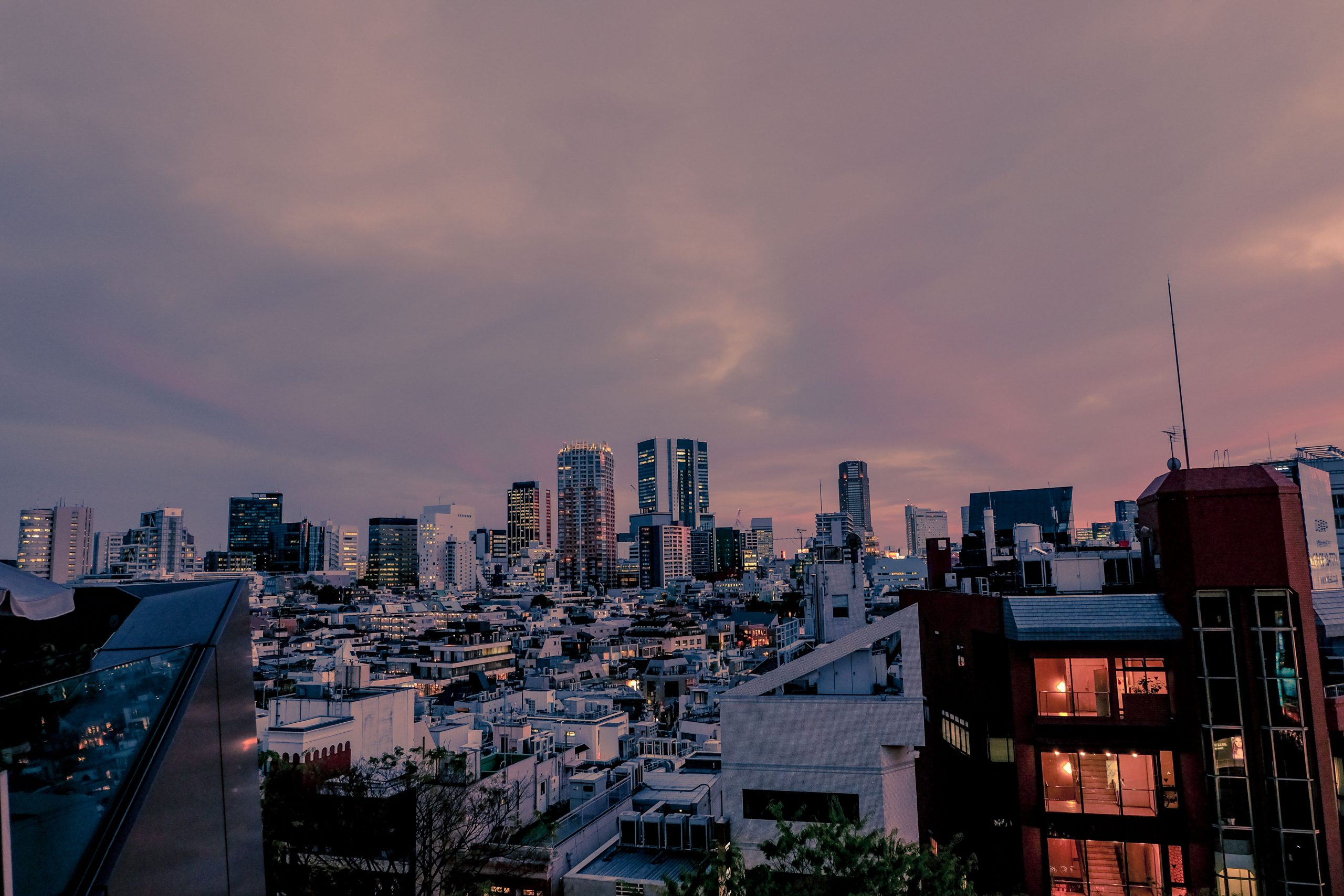 Tokyo from above as seen from Tokyu Plaza in Omotesando