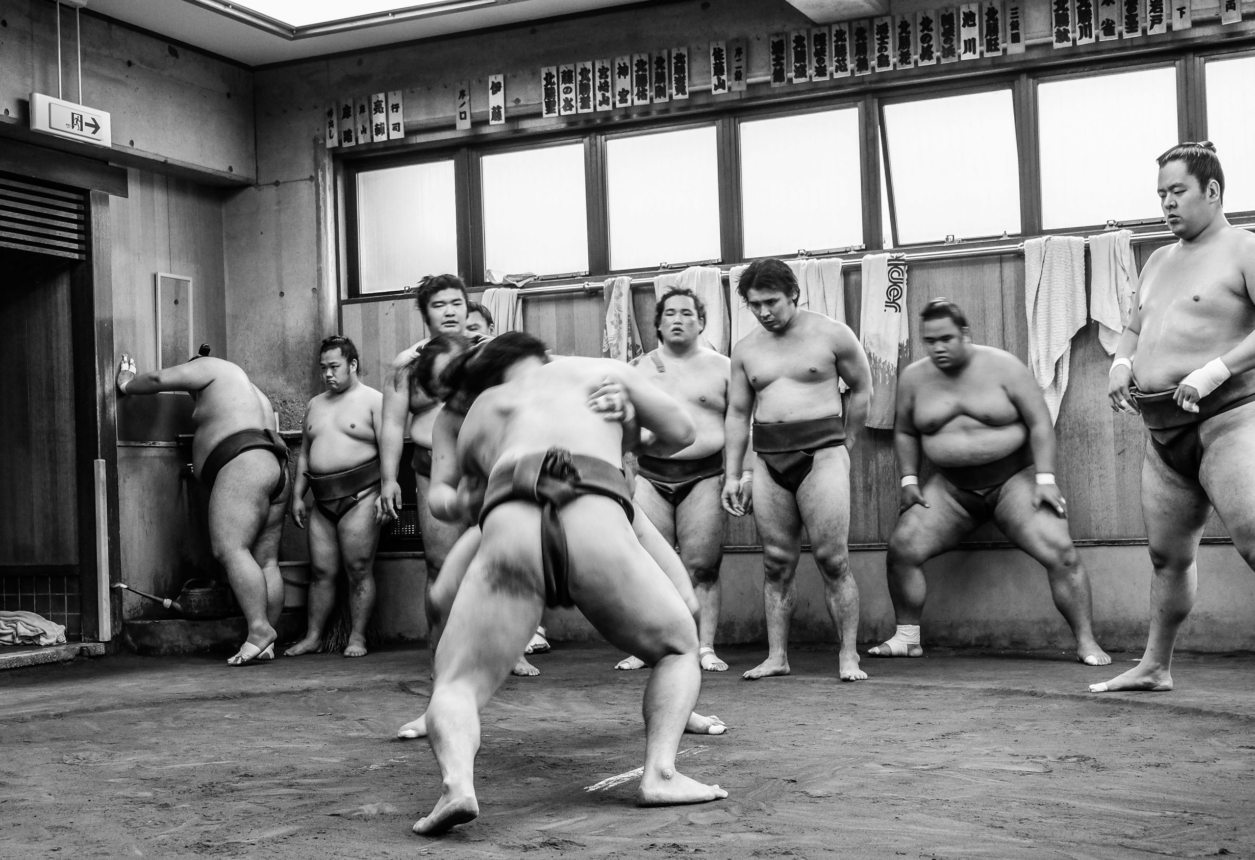 Tokyo Sumo Morning Practice
