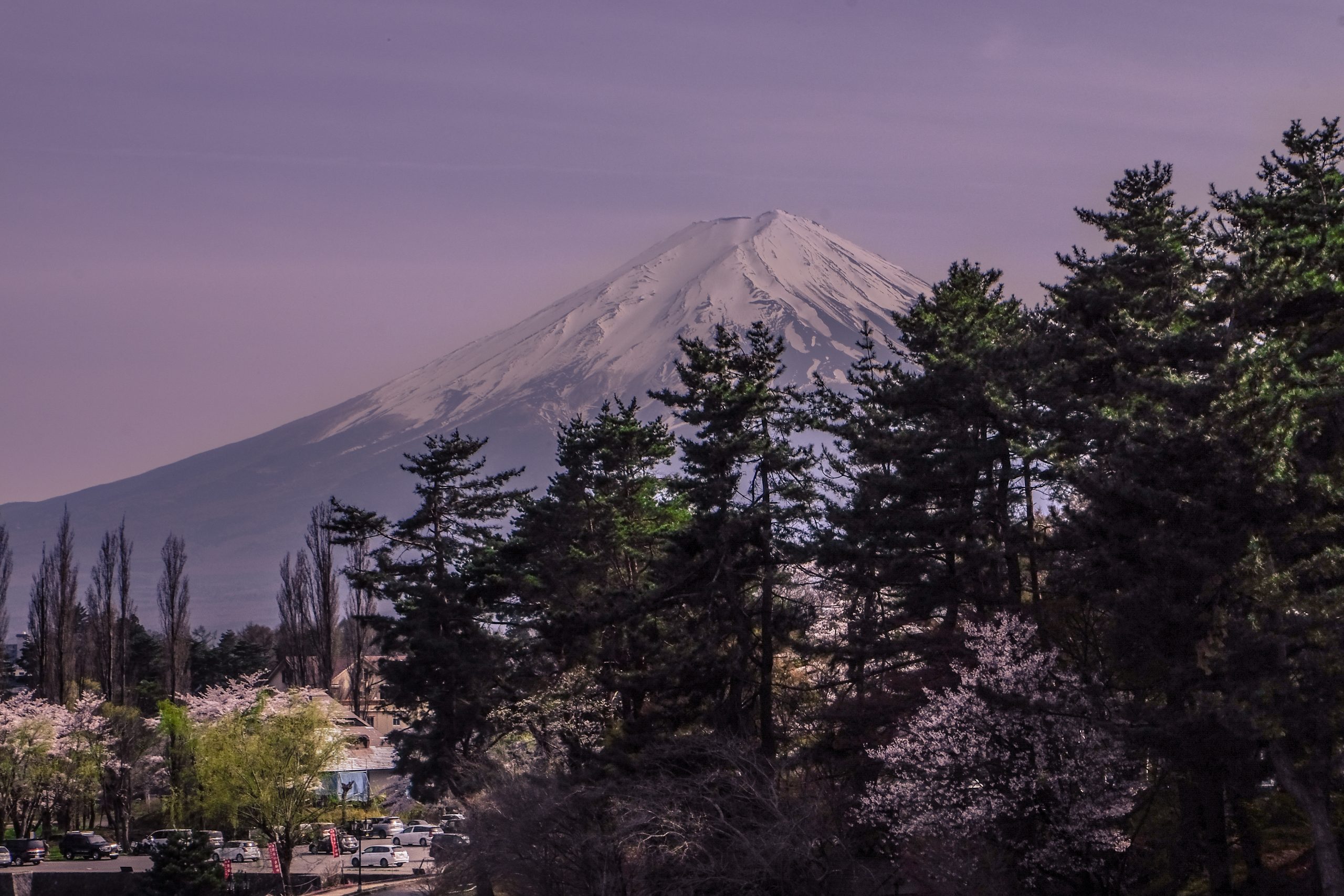 Tokyo to Mount Fuji