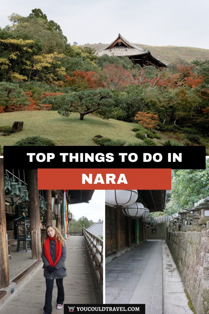 Top things to do in Nara, Japan
