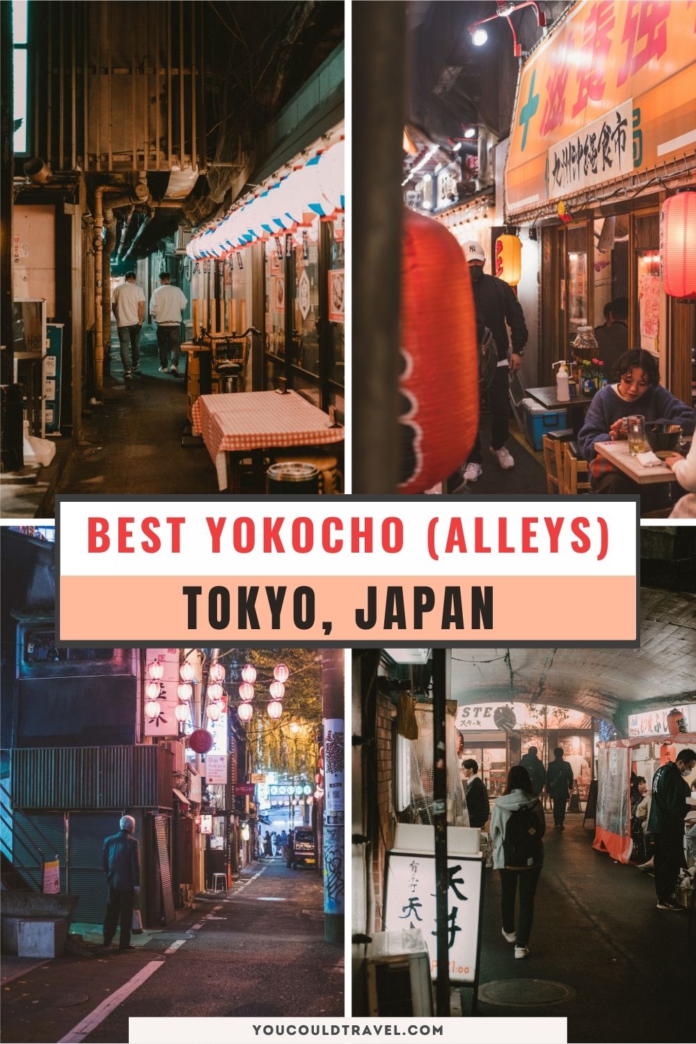 Top yokocho in Tokyo