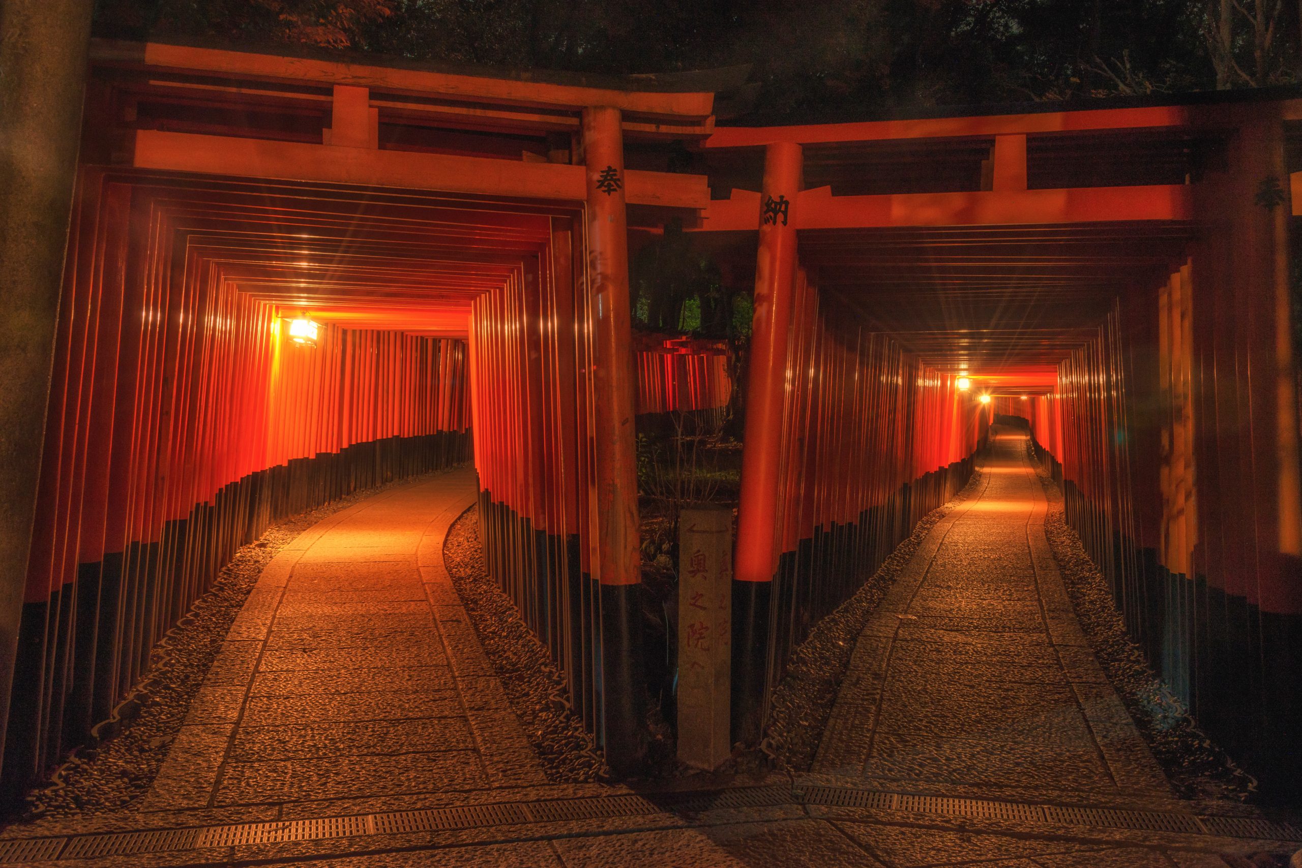 Torii divide at the Fushimi Inari Shrine trail Torii divide at the Fushimi Inari Shrine trail