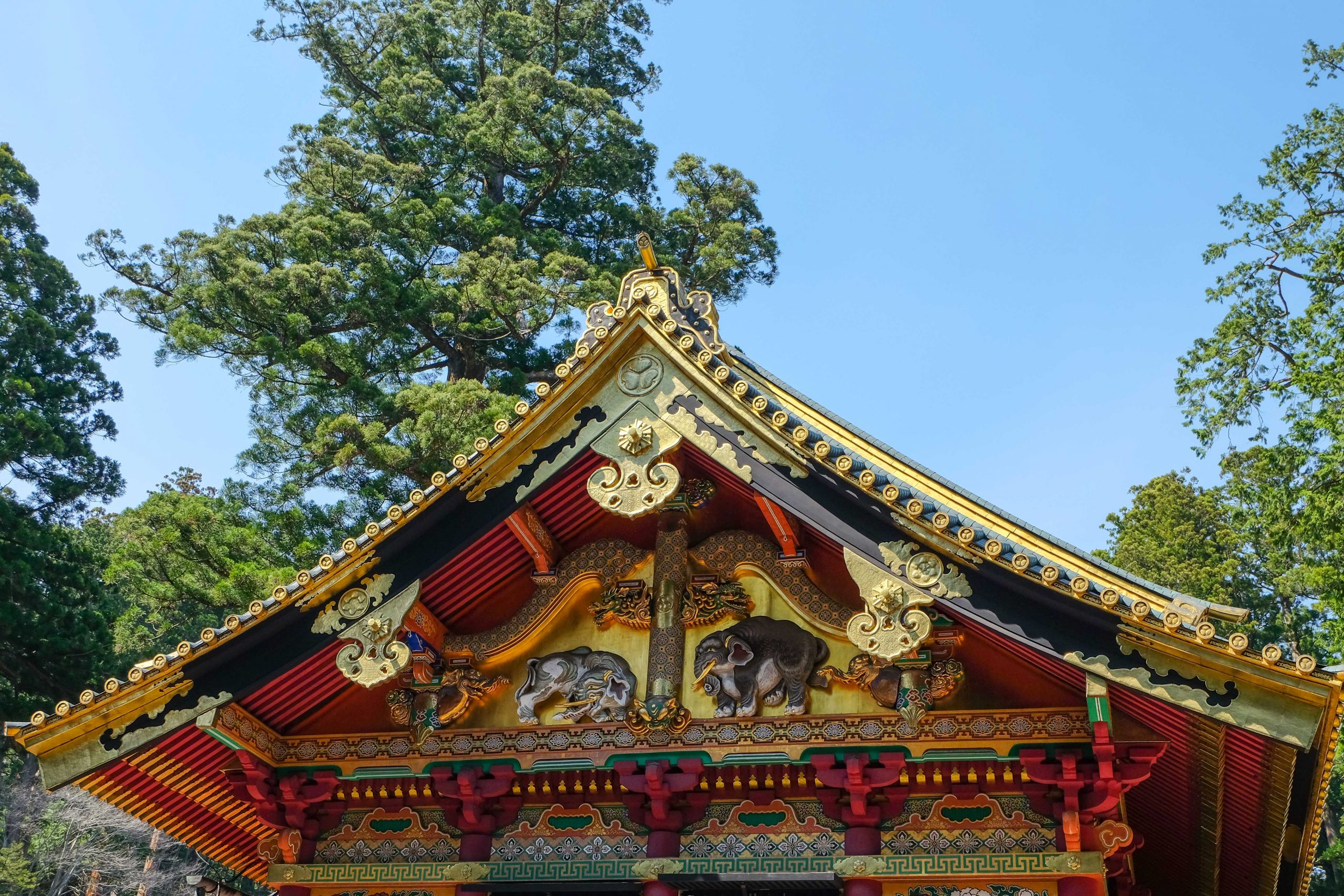 toshogu shrine elephants