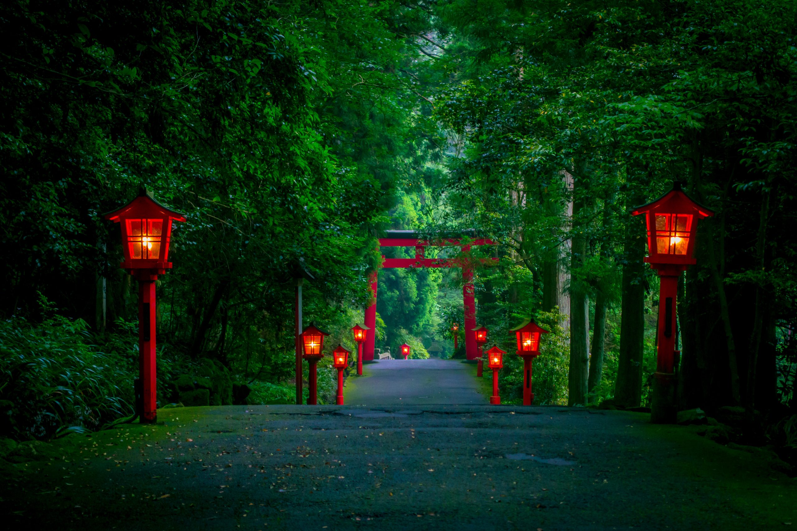 The night view of the approach to the Hakone shrine in a cedar forest. With many red lantern lighted up and a great red torii gate