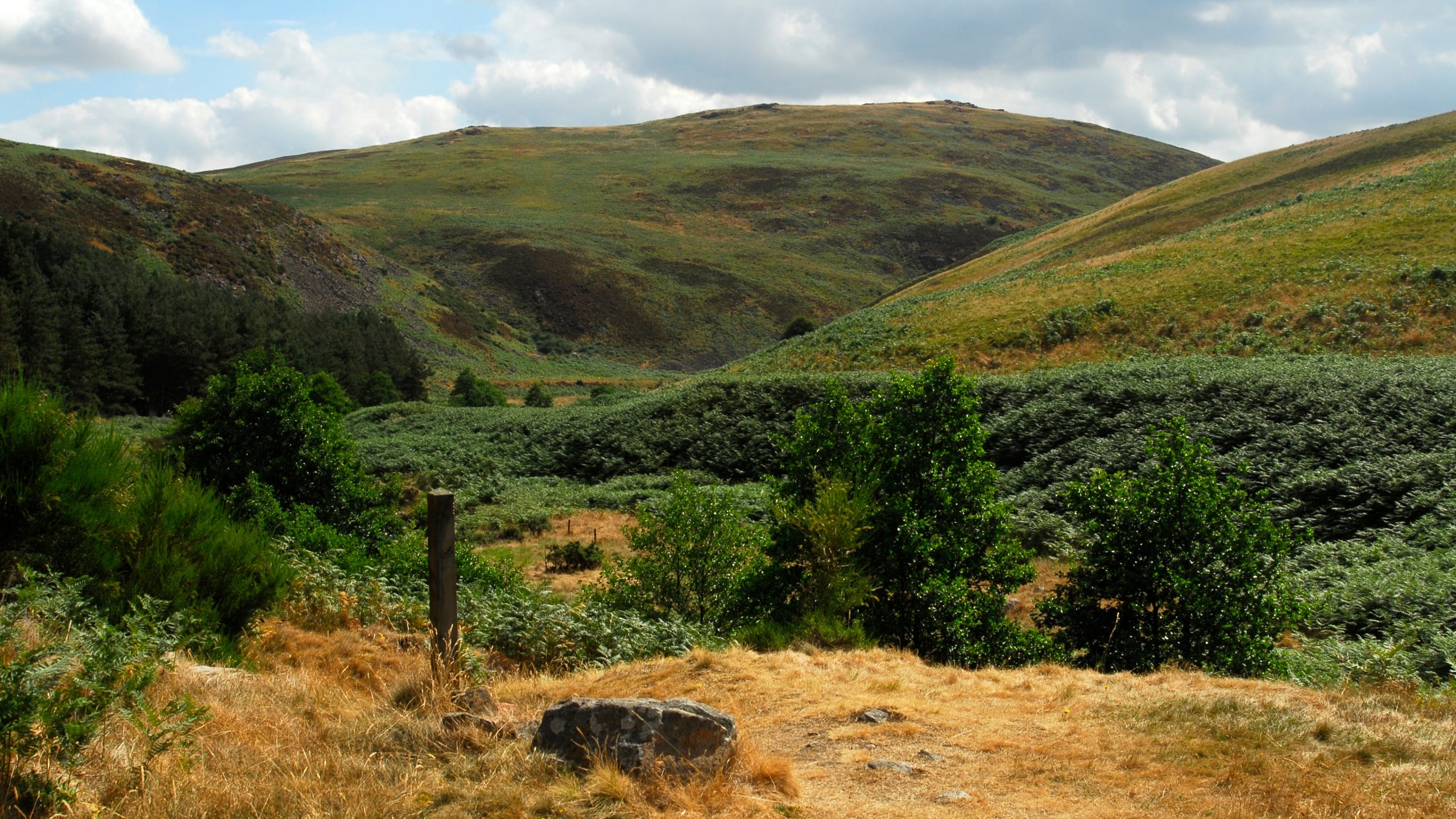 Trails in northumberland national park England