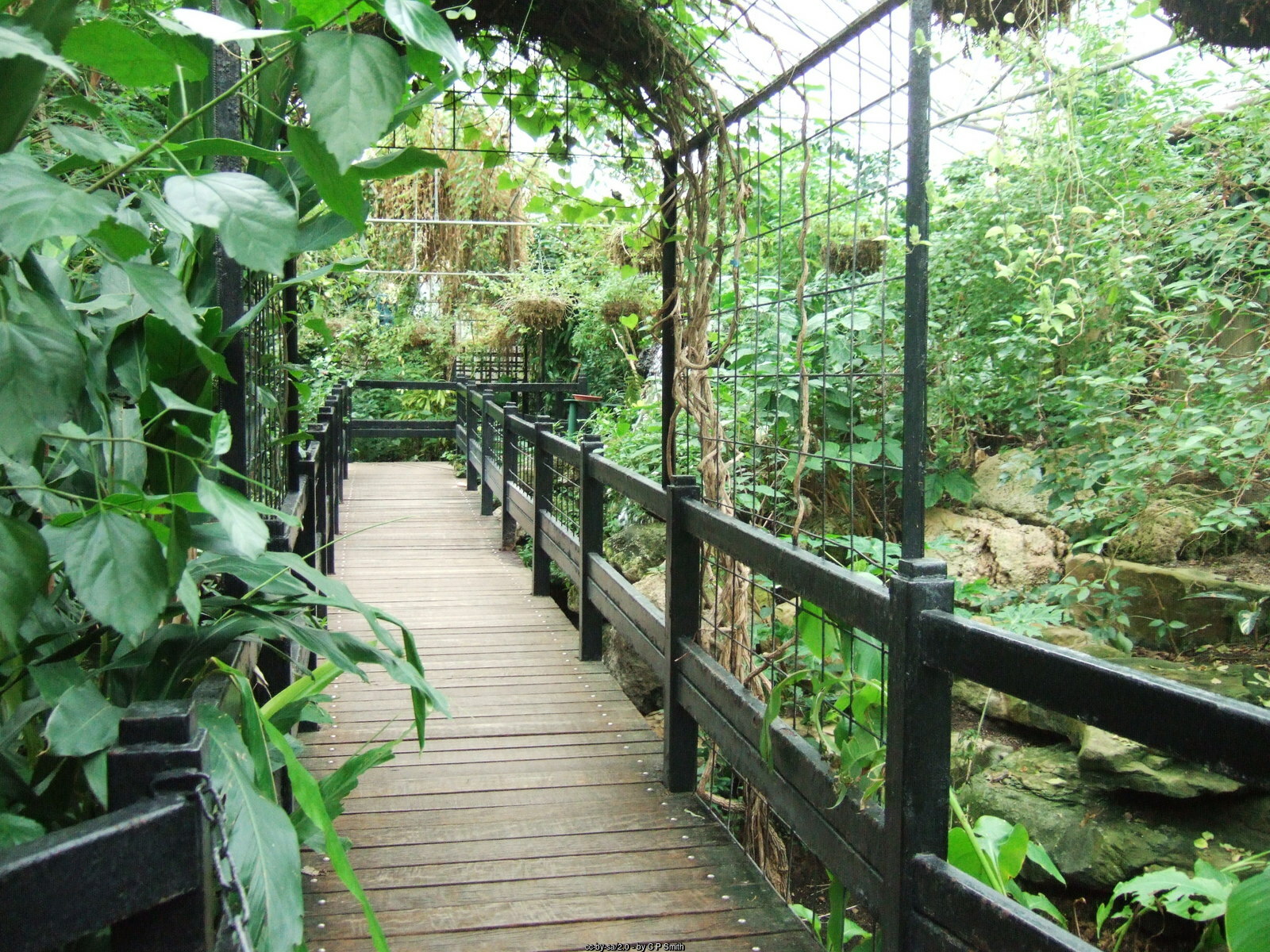 Tropical world Leeds Tropical world Leeds