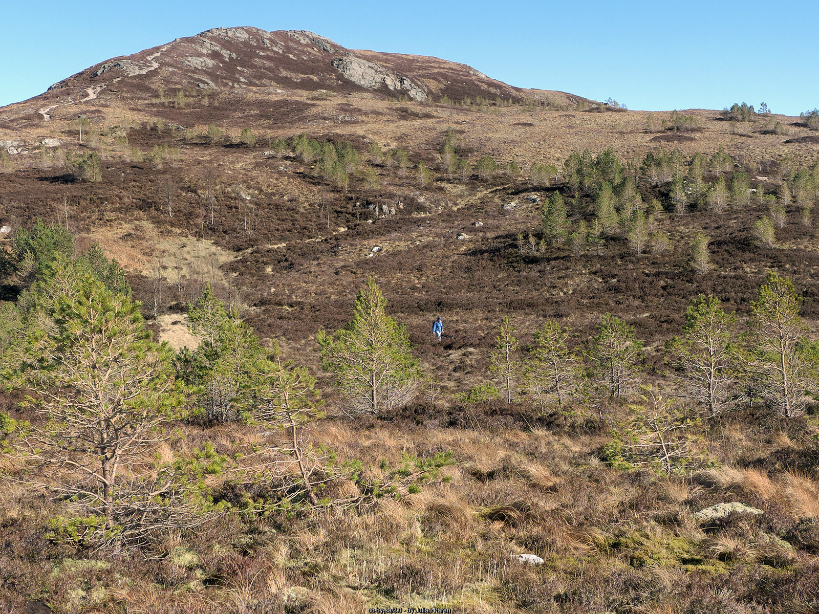 Ullapool Hill loop for hiking