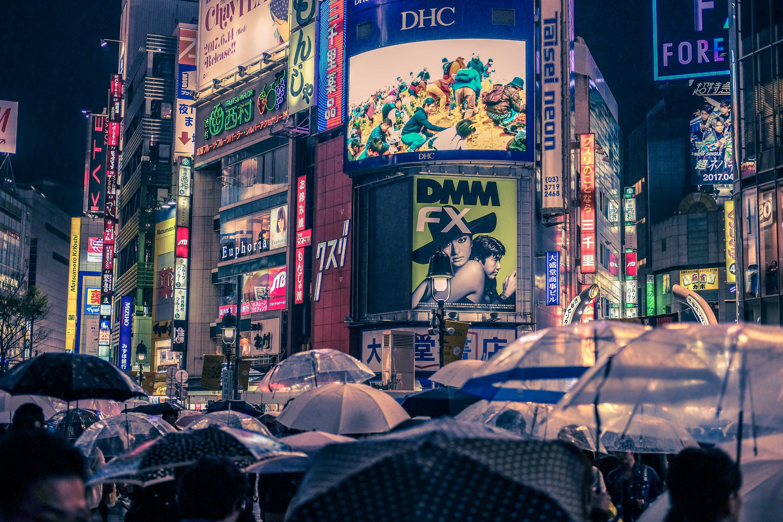 Lots of umbrellas on a rainy night in Shibuya