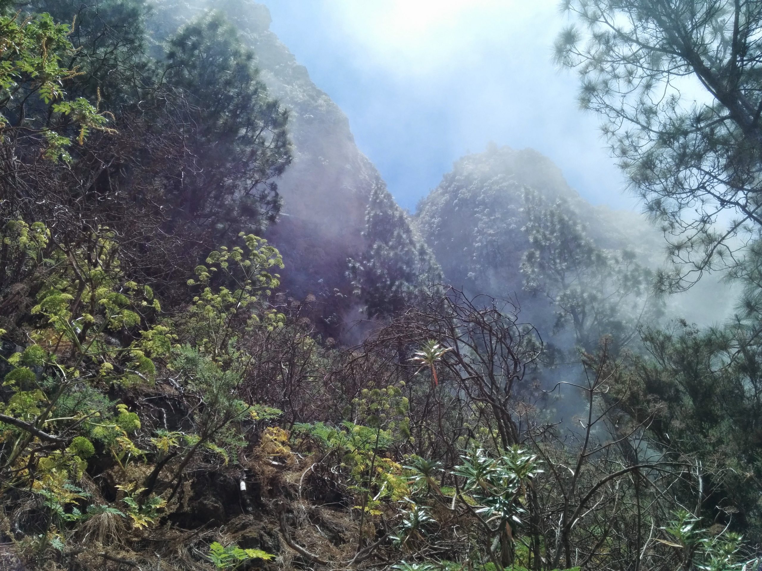 View Trail Tenerife View Trail Tenerife